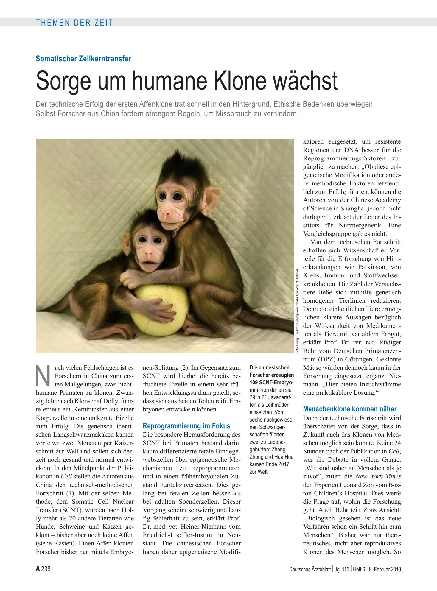 Vorschauseite 1: Somatischer Zellkerntransfer: Sorge um humane Klone wächst – Deutsches Ärzteblatt