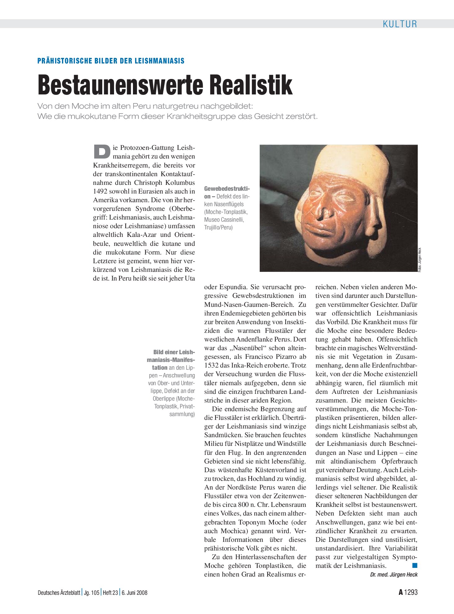 Vorschauseite 1: Prähistorische Bilder der Leishmaniasis: Bestaunenswerte Realistik – Deutsches Ärzteblatt