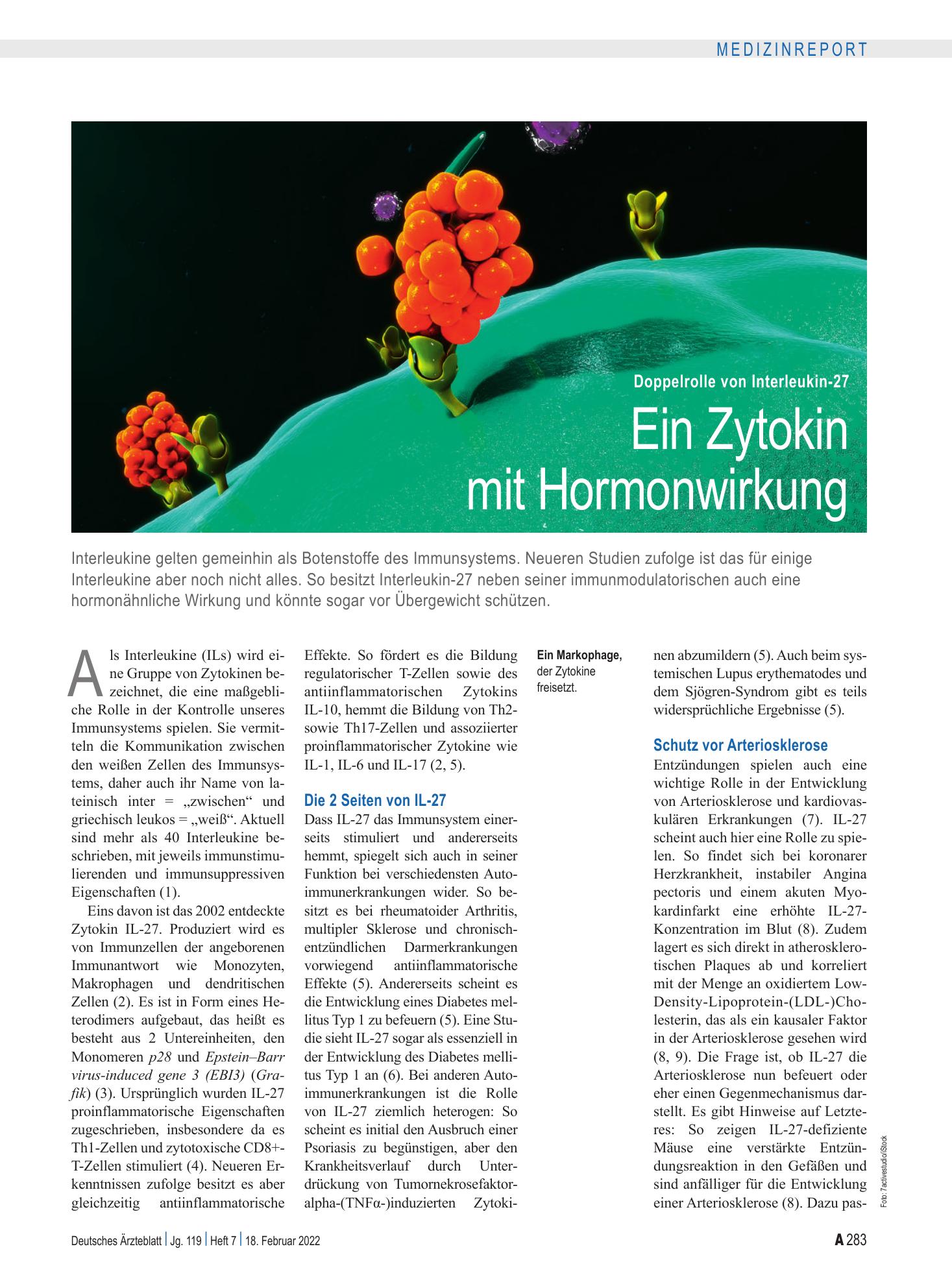 Vorschauseite 1: Doppelrolle von Interleukin-27: Ein Zytokin mit Hormonwirkung – Deutsches Ärzteblatt