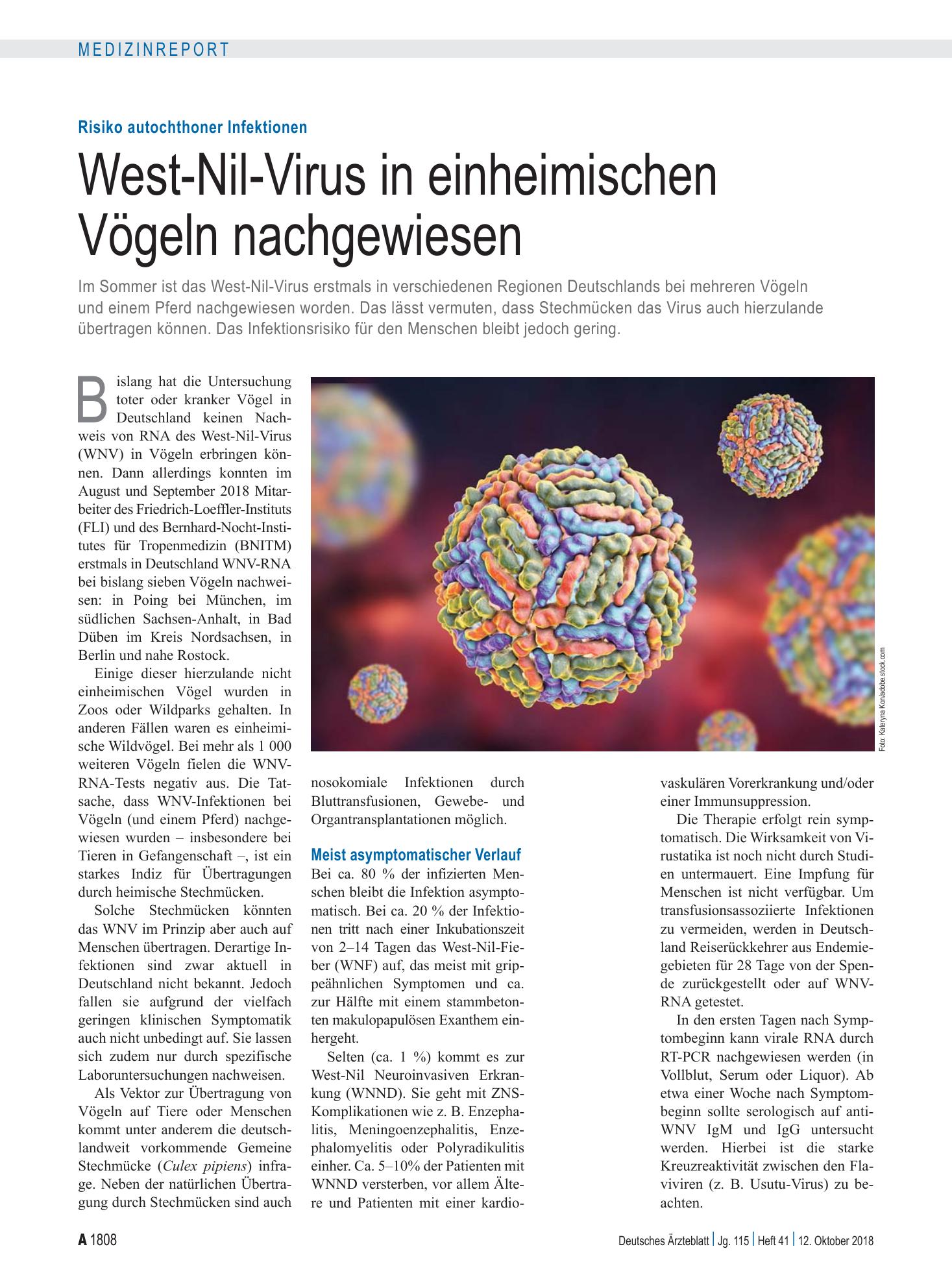 Vorschauseite 1: Risiko autochthoner Infektionen: West-Nil-Virus in einheimischen Vögeln nachgewiesen – Deutsches Ärzteblatt