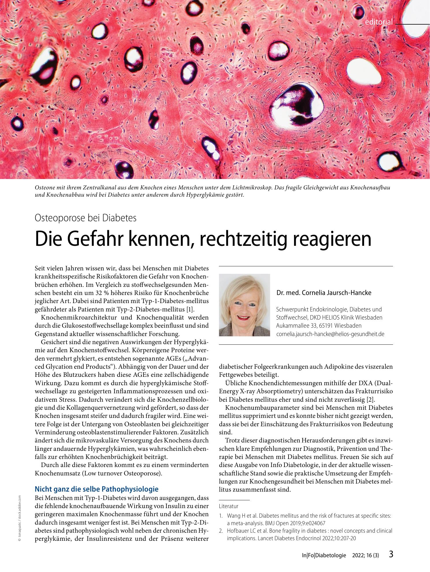 Vorschauseite 1: Die Gefahr kennen, rechtzeitig reagieren