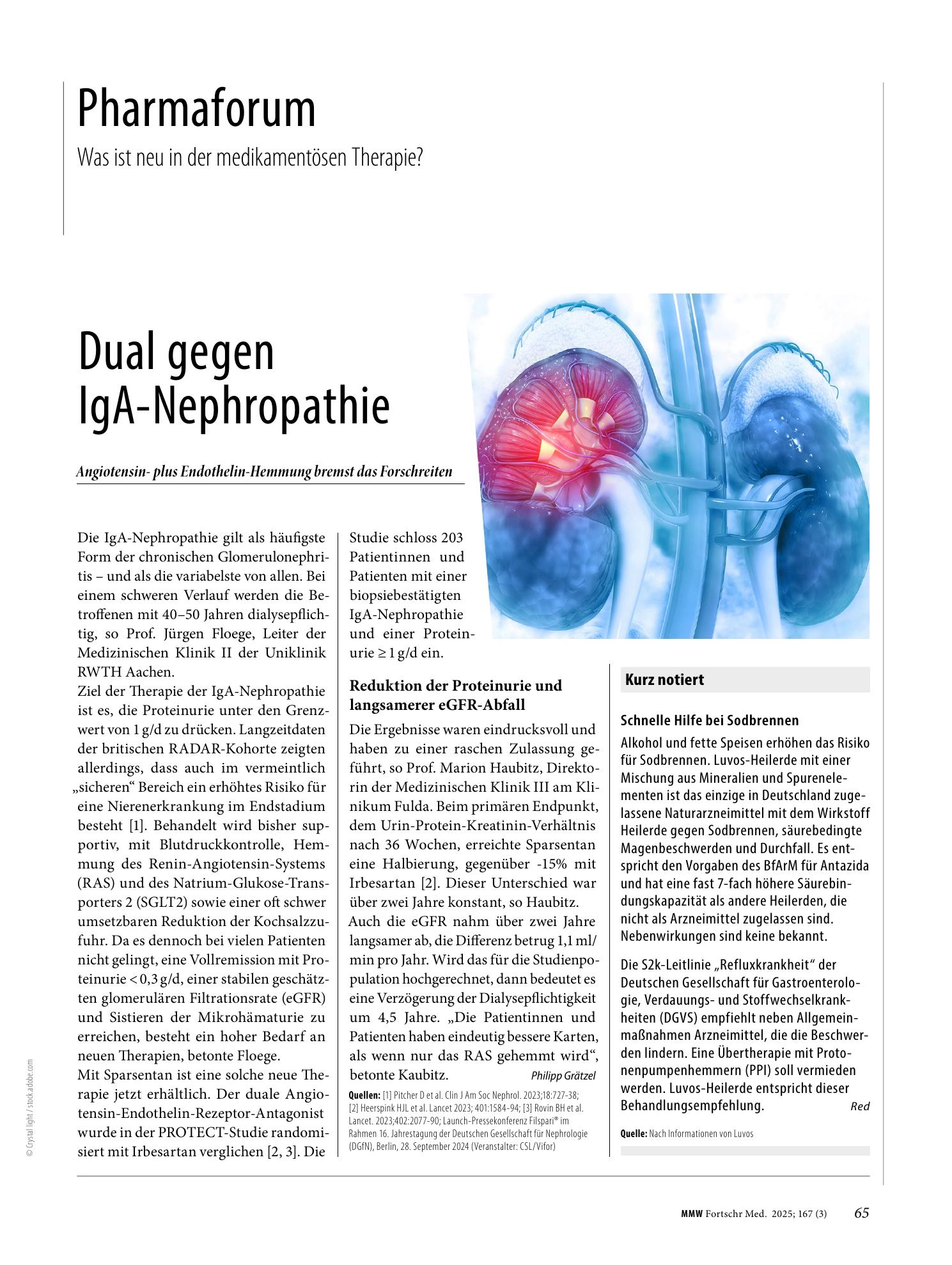 Vorschauseite 1: Dual gegen IgA-Nephropathie