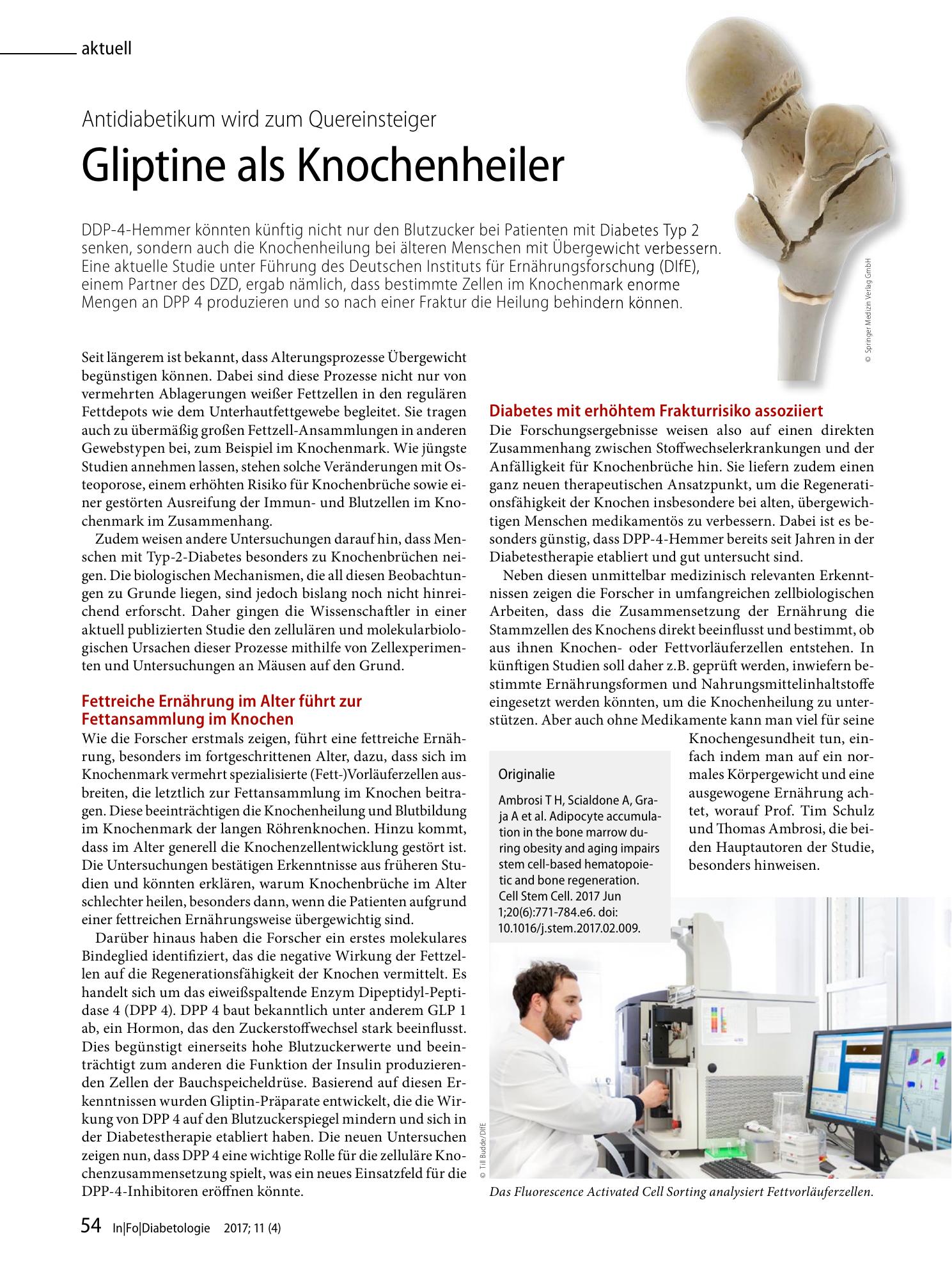 Vorschauseite 1: Gliptine als Knochenheiler