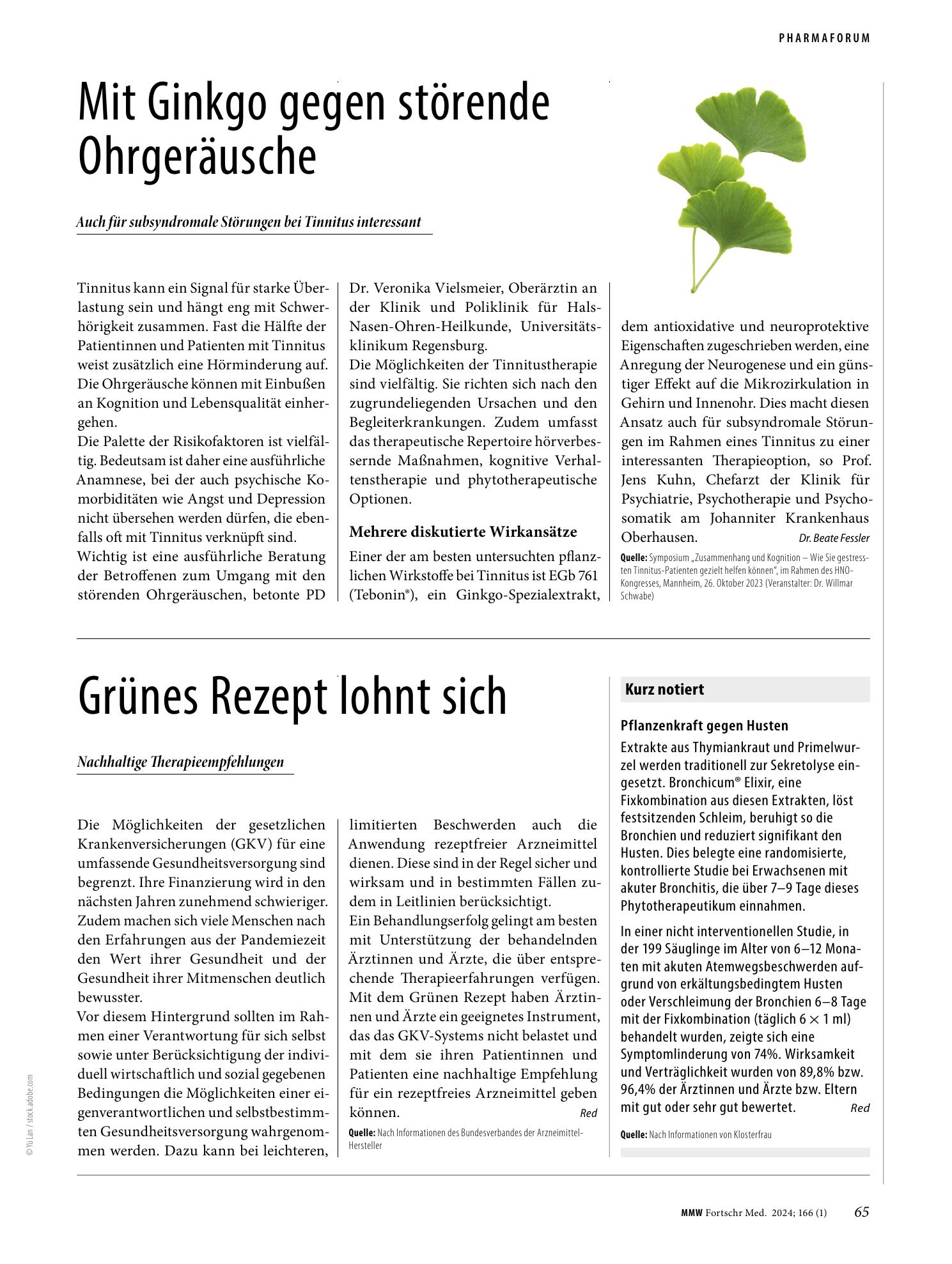 Vorschauseite 1: Grünes Rezept lohnt sich