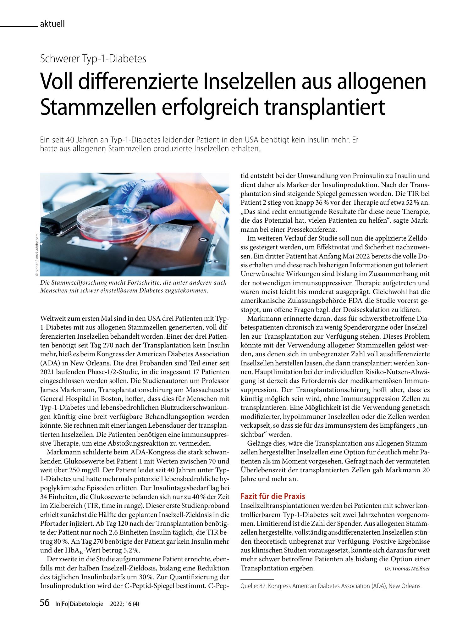 Vorschauseite 1: Voll differenzierte Inselzellen aus allogenen Stammzellen erfolgreich transplantiert