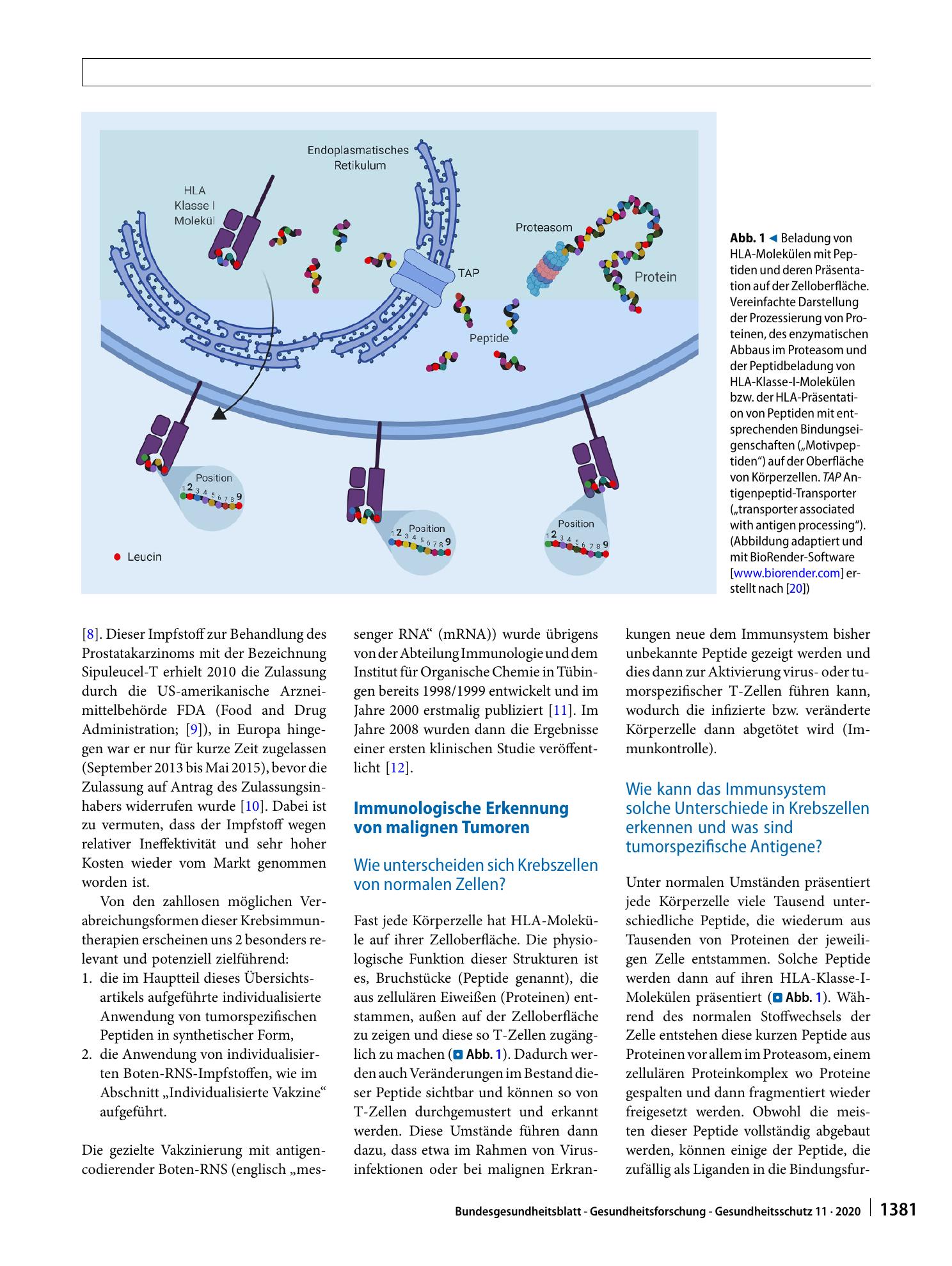 Vorschauseite 2: Individualisierte Immuntherapie von Tumorerkrankungen mittels Peptidimpfstoffen – Funktioniert das vielleicht doch?
