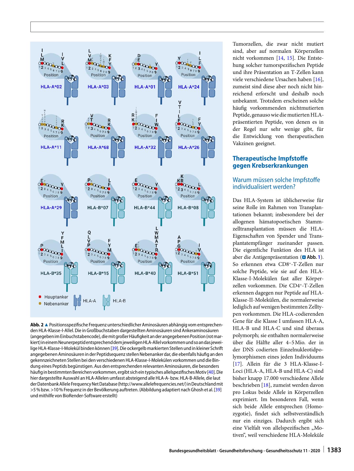 Vorschauseite 4: Individualisierte Immuntherapie von Tumorerkrankungen mittels Peptidimpfstoffen – Funktioniert das vielleicht doch?