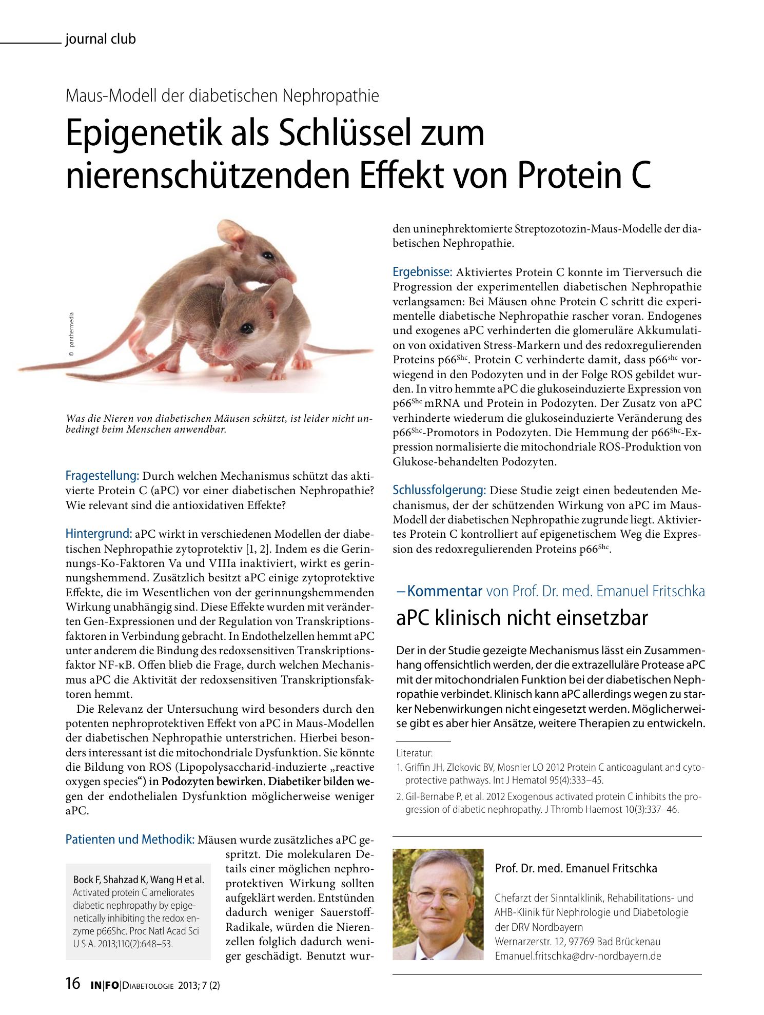 Vorschauseite 1: Epigenetik als Schlüssel zum nierenschützenden Effekt von Protein C