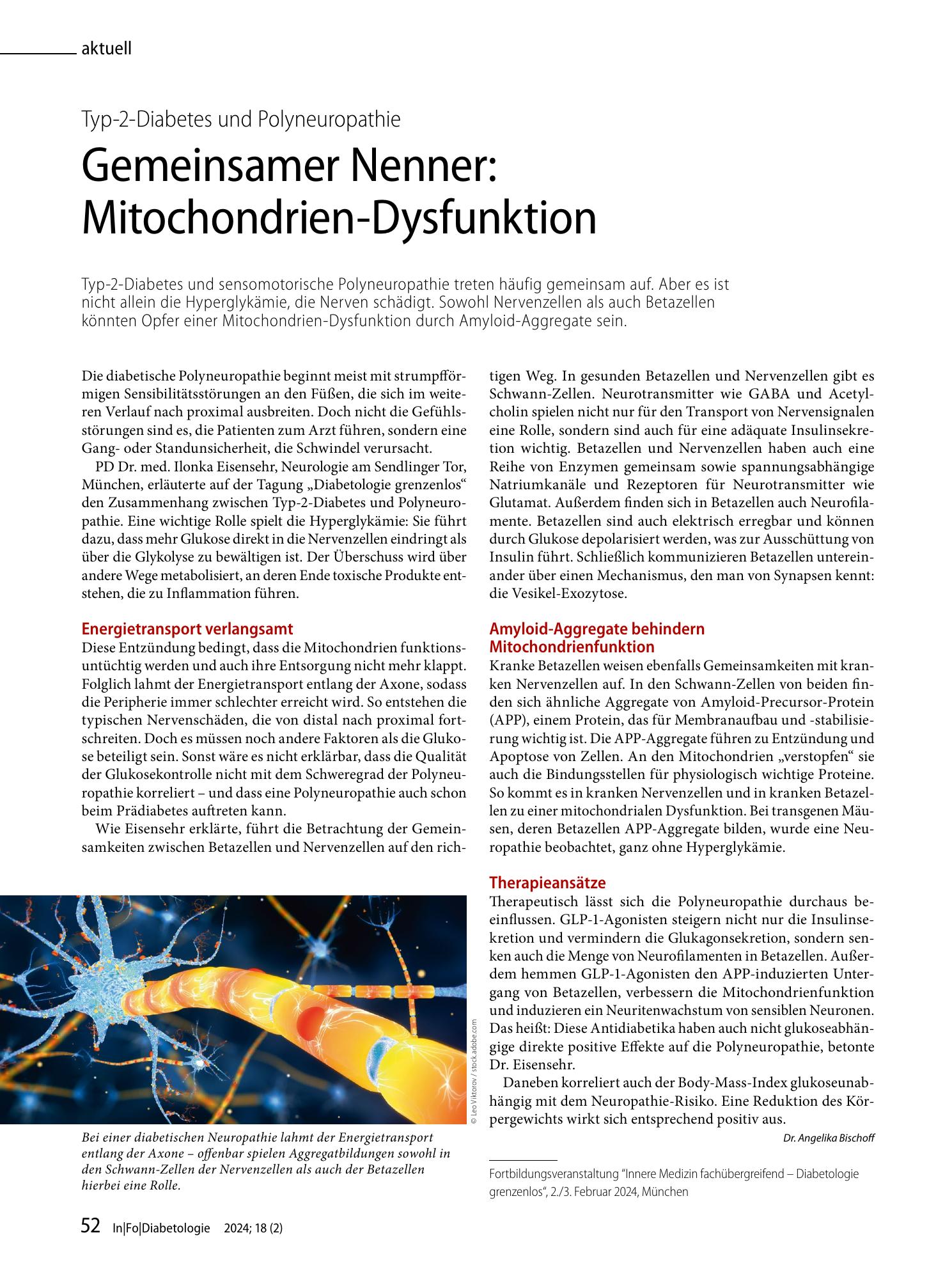 Vorschauseite 1: Gemeinsamer Nenner: Mitochondrien-Dysfunktion