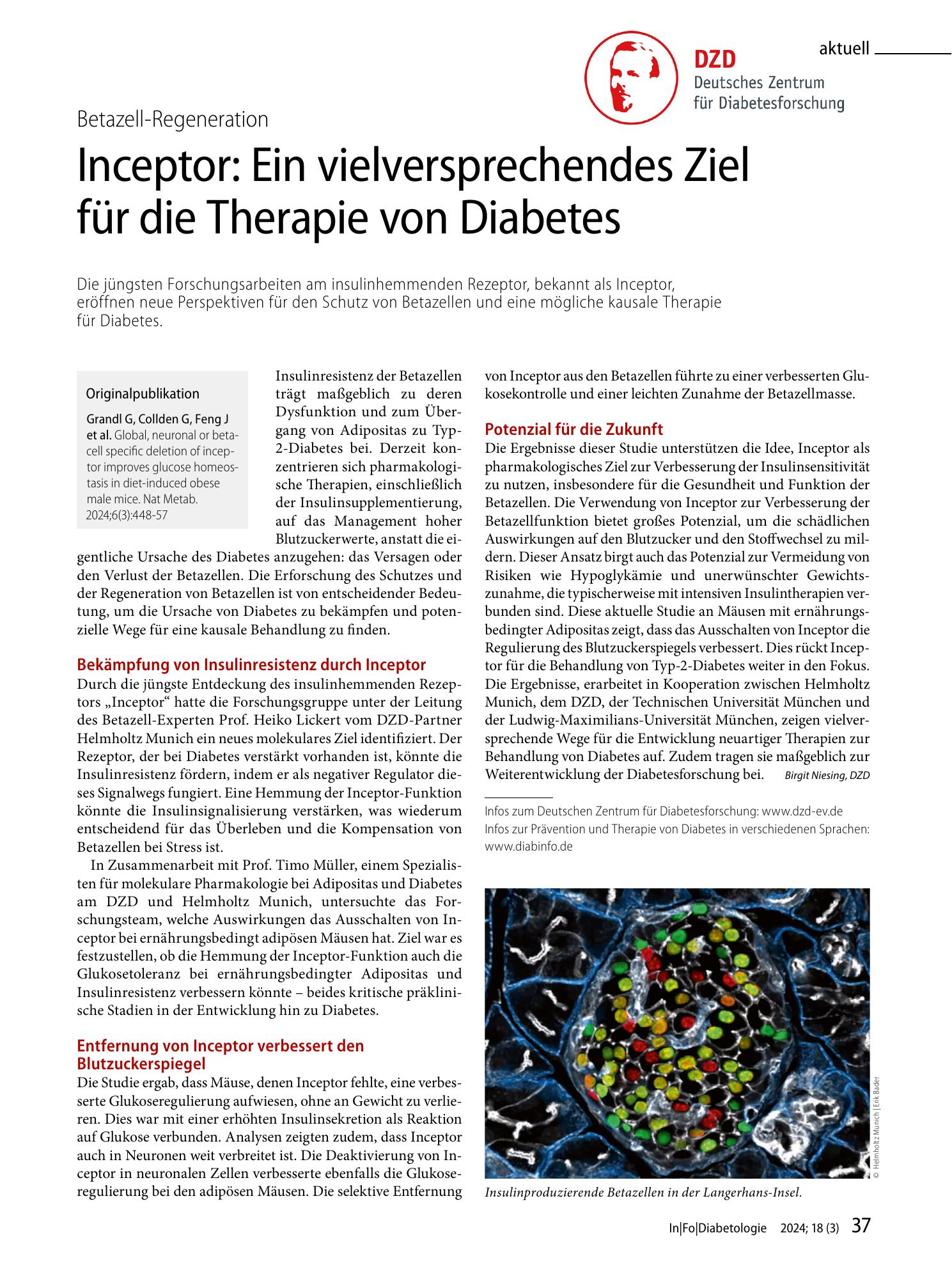 Vorschauseite 1: Inceptor: Ein vielversprechendes Ziel für die Therapie von Diabetes