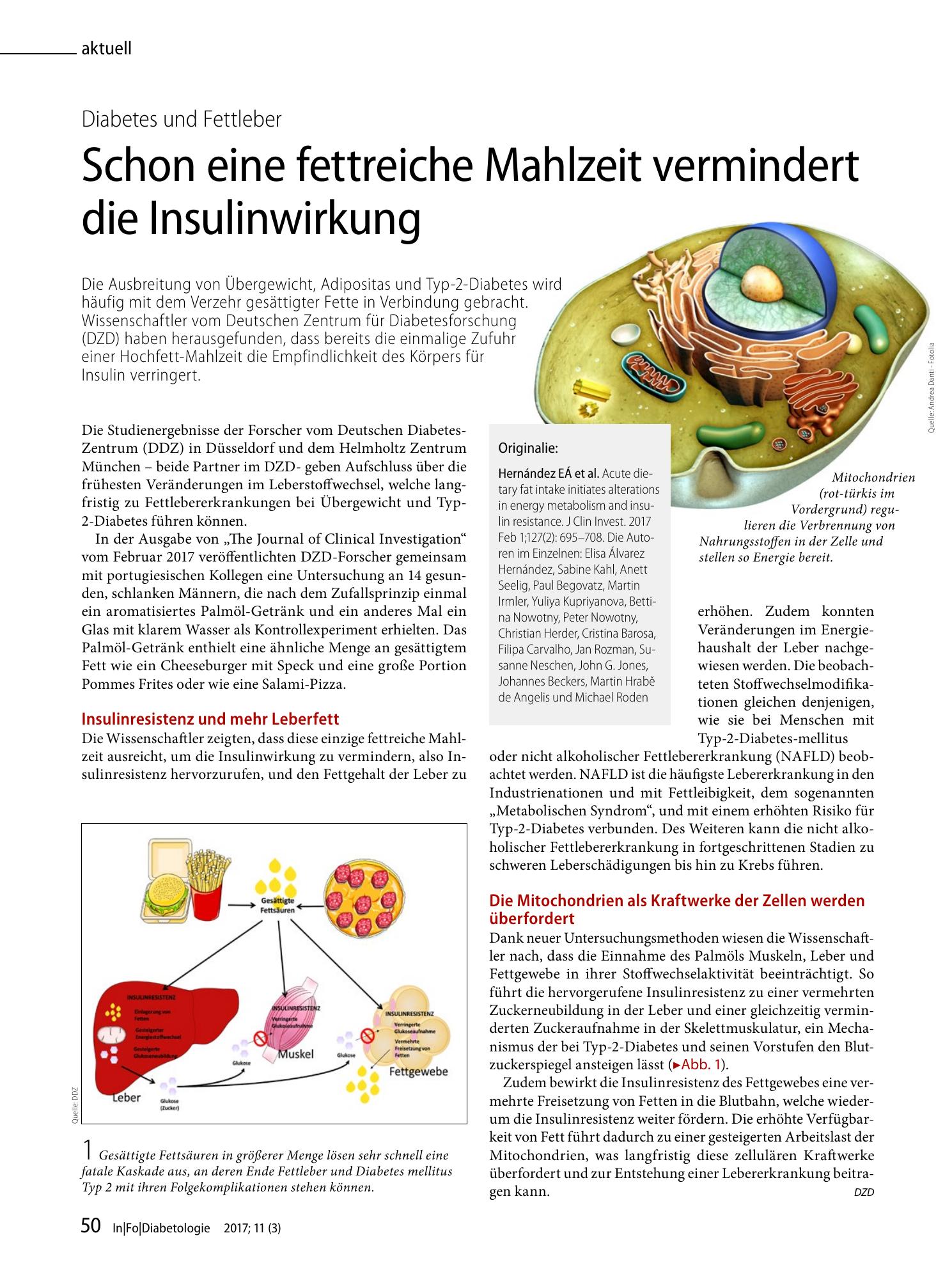 Vorschauseite 1: Schon eine fettreiche Mahlzeit vermindert die Insulinwirkung