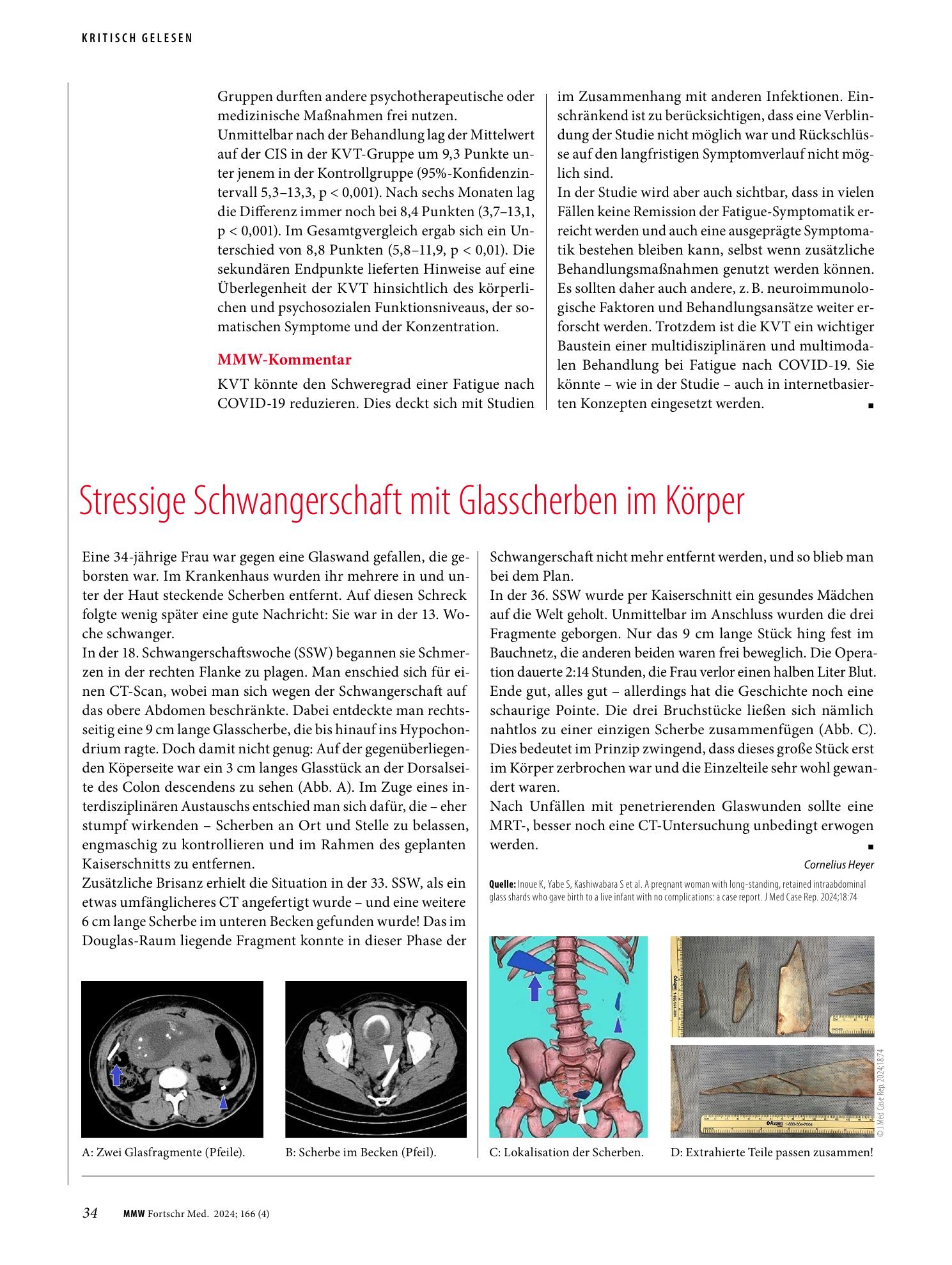 Vorschauseite 1: Stressige Schwangerschaft mit Glasscherben im Körper