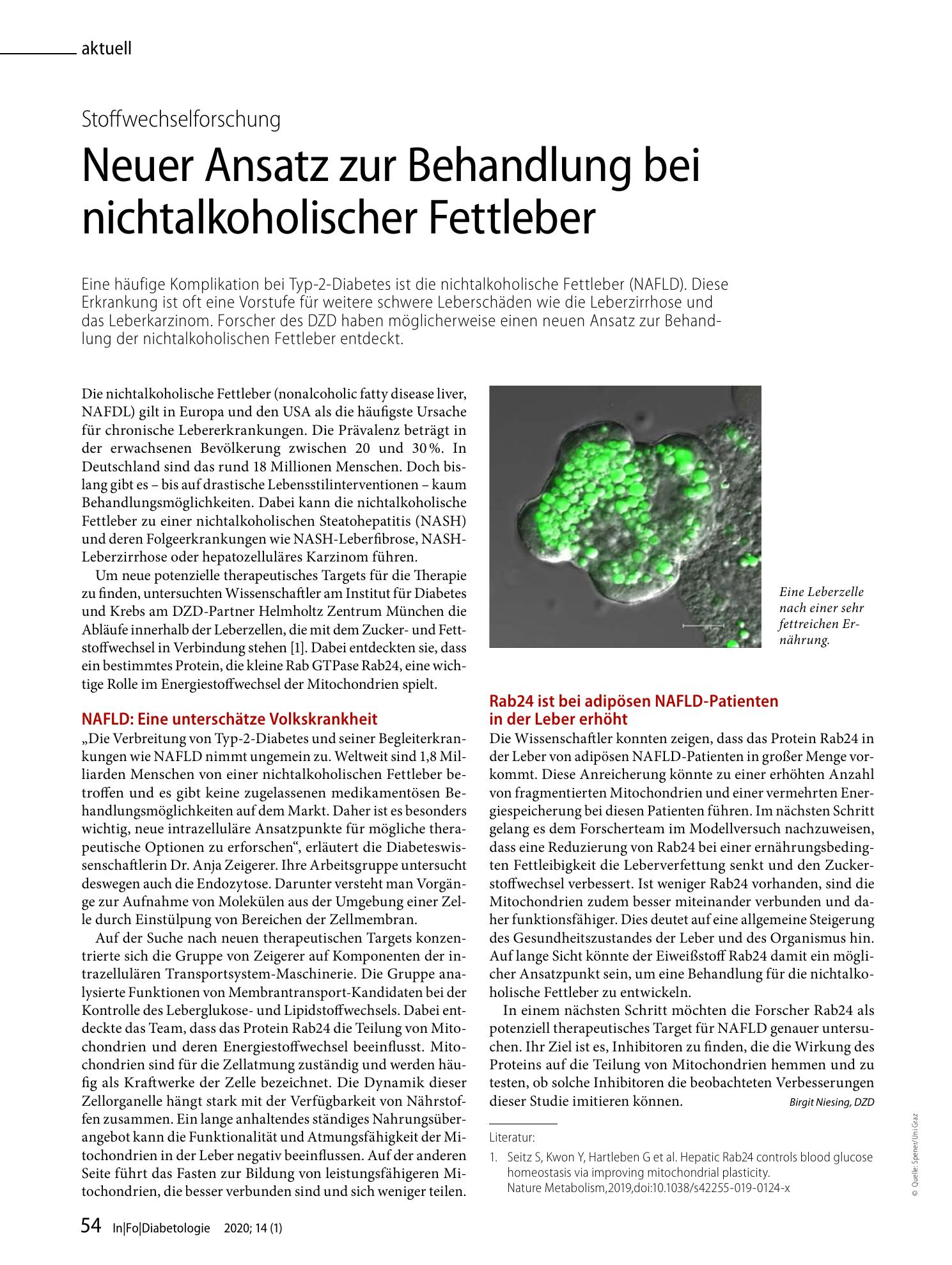 Vorschauseite 1: Neuer Ansatz zur Behandlung bei nichtalkoholischer Fettleber