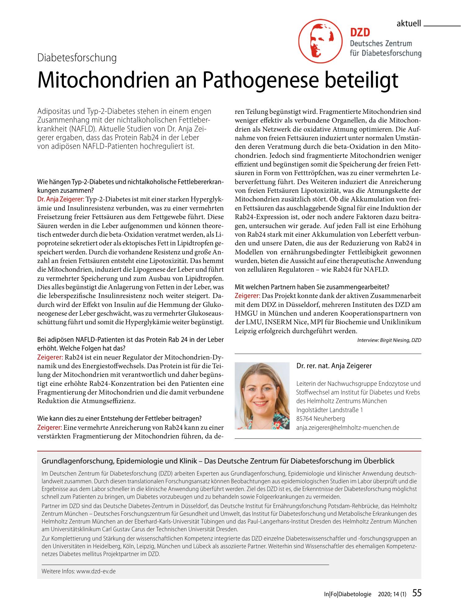 Vorschauseite 1: Mitochondrien an Pathogenese beteiligt