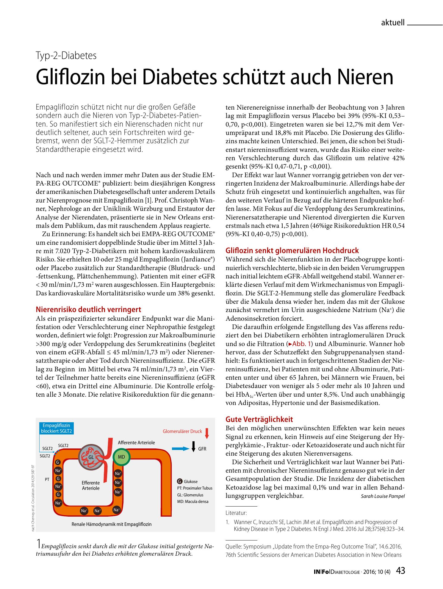 Vorschauseite 1: Gliflozin bei Diabetes schützt auch Nieren