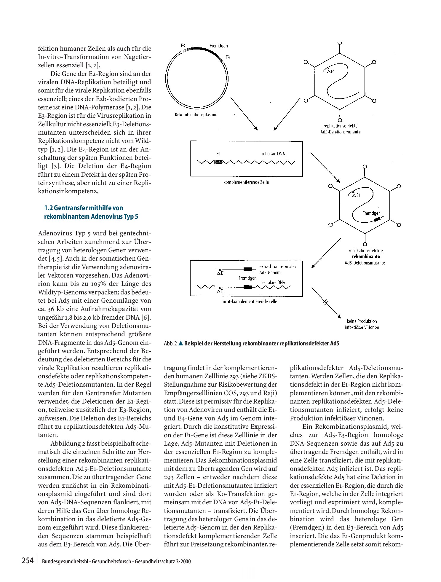 Vorschauseite 2: Gentransfer mithilfe von Adenovirus Typ 5 Geänderte allgemeine Stellungnahme der ZKBS zu häufig durchgeführten gentechnischen Arbeiten mit den zugrunde liegenden Kriterien der Ver…