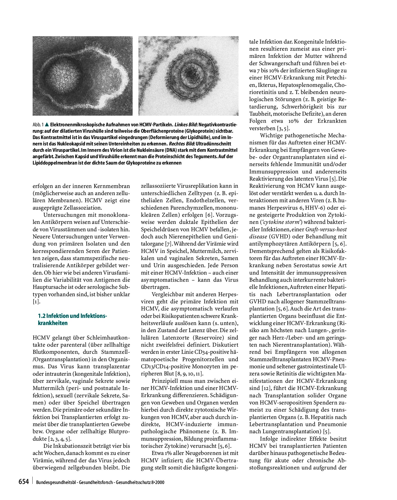 Vorschauseite 2: Humanes Cytomegalovirus (HCMV) Stellungnahmen des Arbeitskreises Blut des Bundesministeriums für Gesundheit