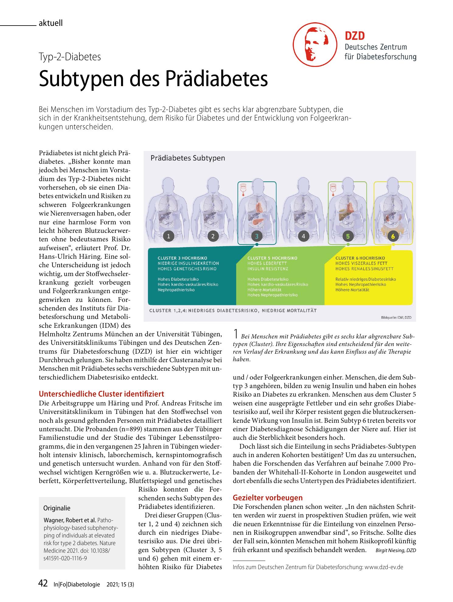 Vorschauseite 1: Subtypen des Prädiabetes