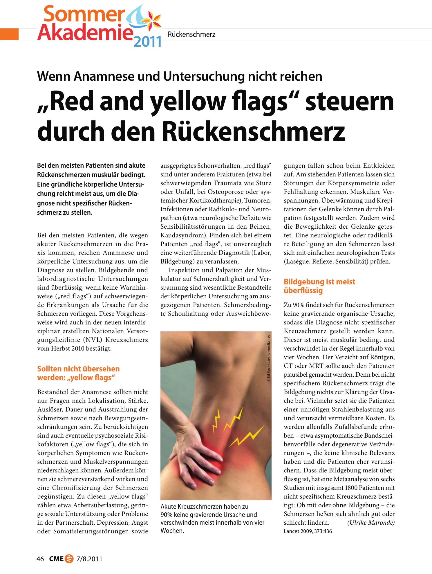 Vorschauseite 1: „Red and yellow flags“ steuern durch den Rückenschmerz