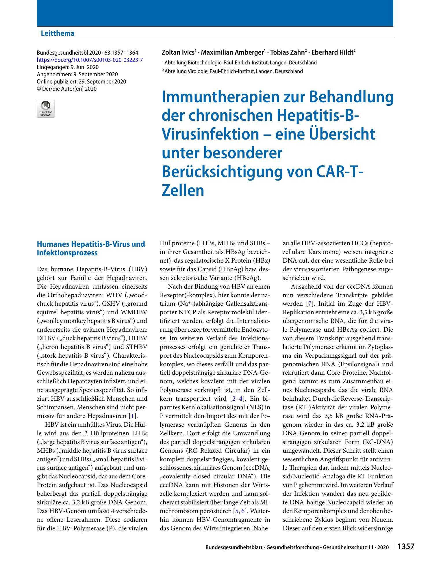 Vorschauseite 1: Immuntherapien zur Behandlung der chronischen Hepatitis-B-Virusinfektion – eine Übersicht unter besonderer Berücksichtigung von CAR-T-Zellen