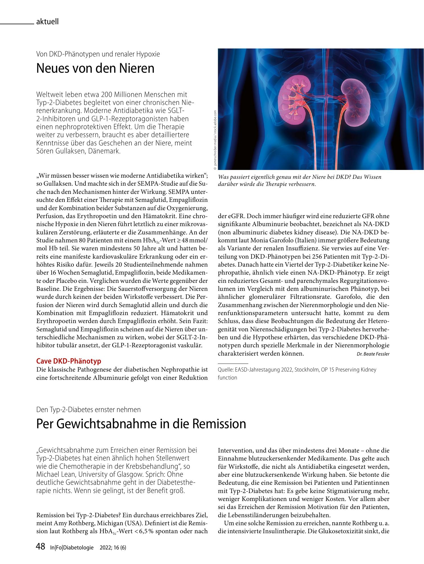Vorschauseite 1: Neues von den Nieren