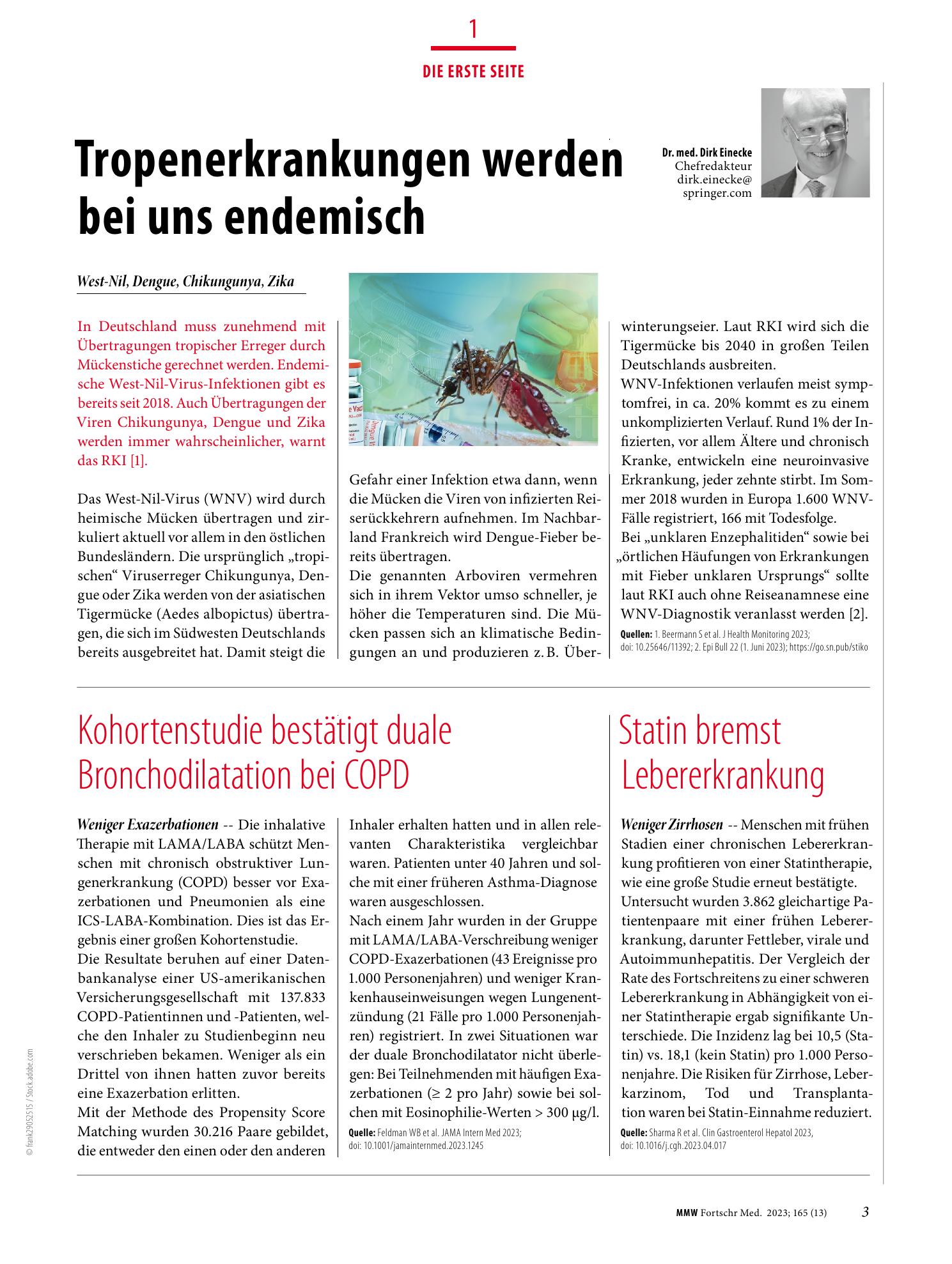 Vorschauseite 1: Die Erste Seite