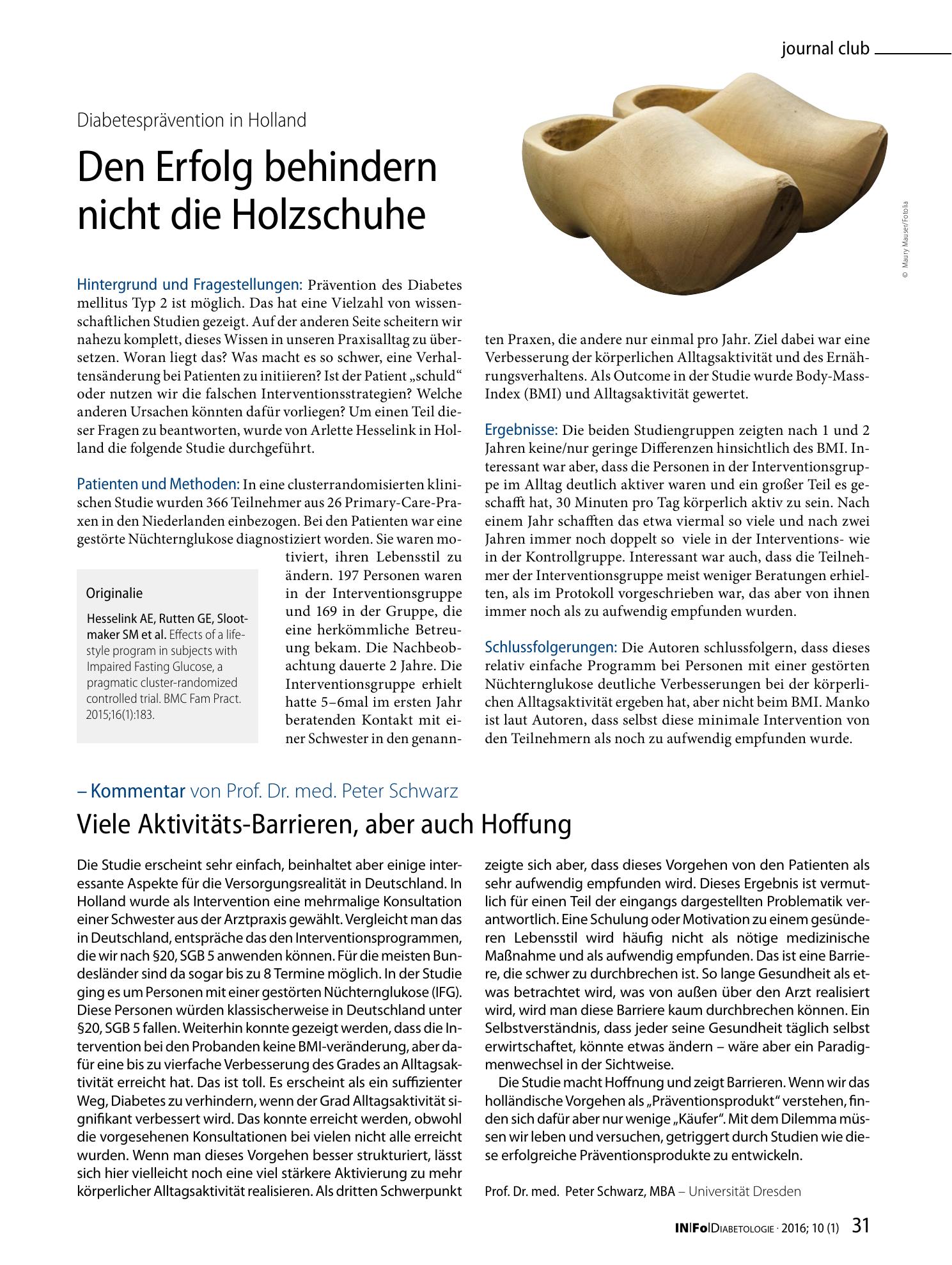 Vorschauseite 1: Den Erfolg behindern nicht die Holzschuhe