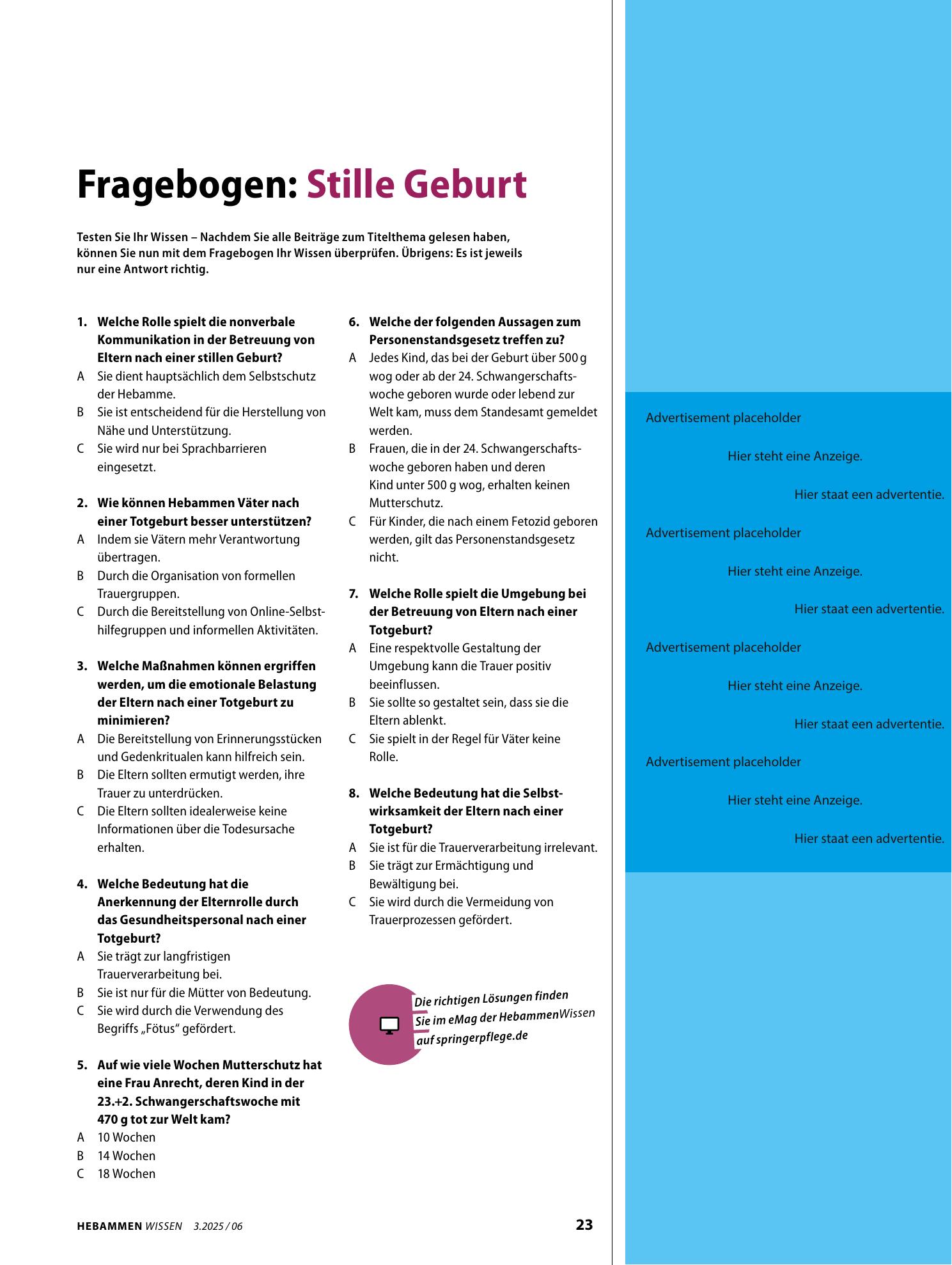 Vorschauseite 1: Fragebogen: Stille Geburt
