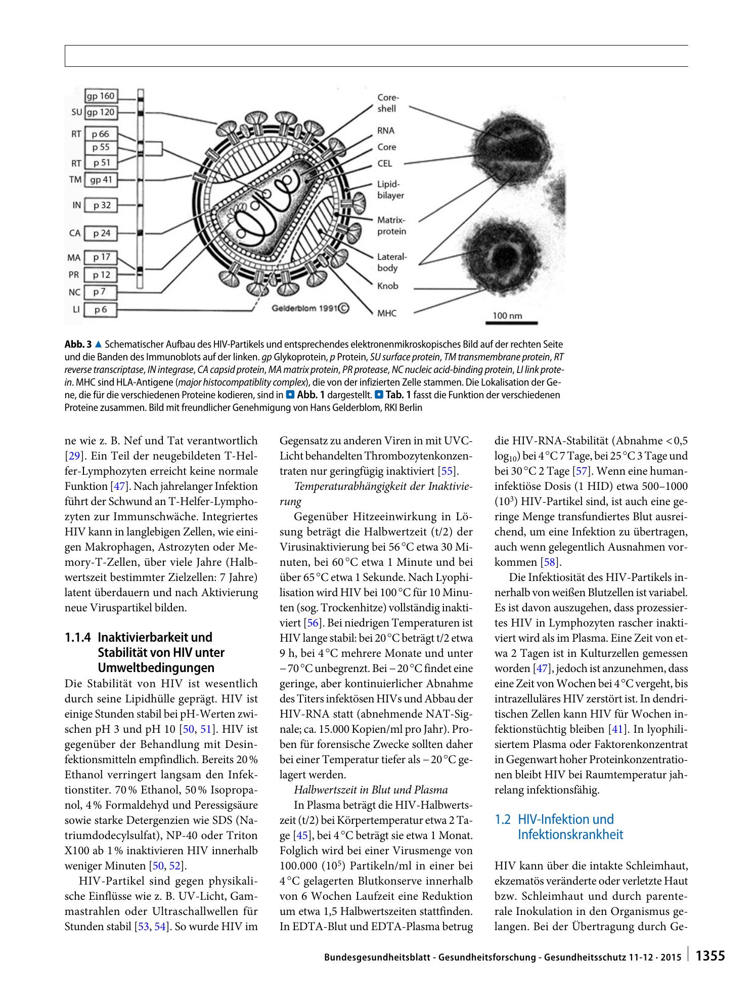 Vorschauseite 5: Humanes Immunschwächevirus (HIV)