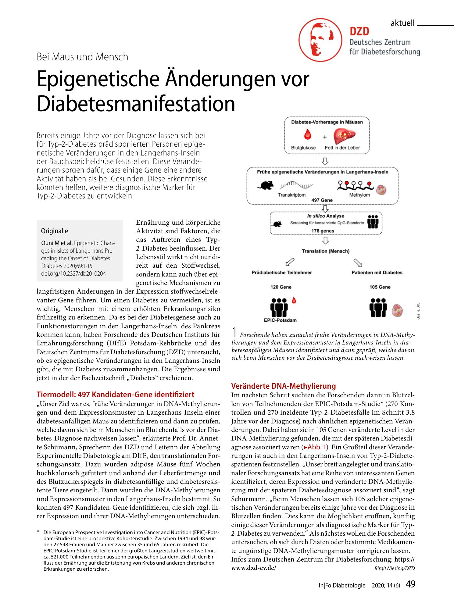 Vorschauseite 1: Epigenetische Änderungen vor Diabetesmanifestation