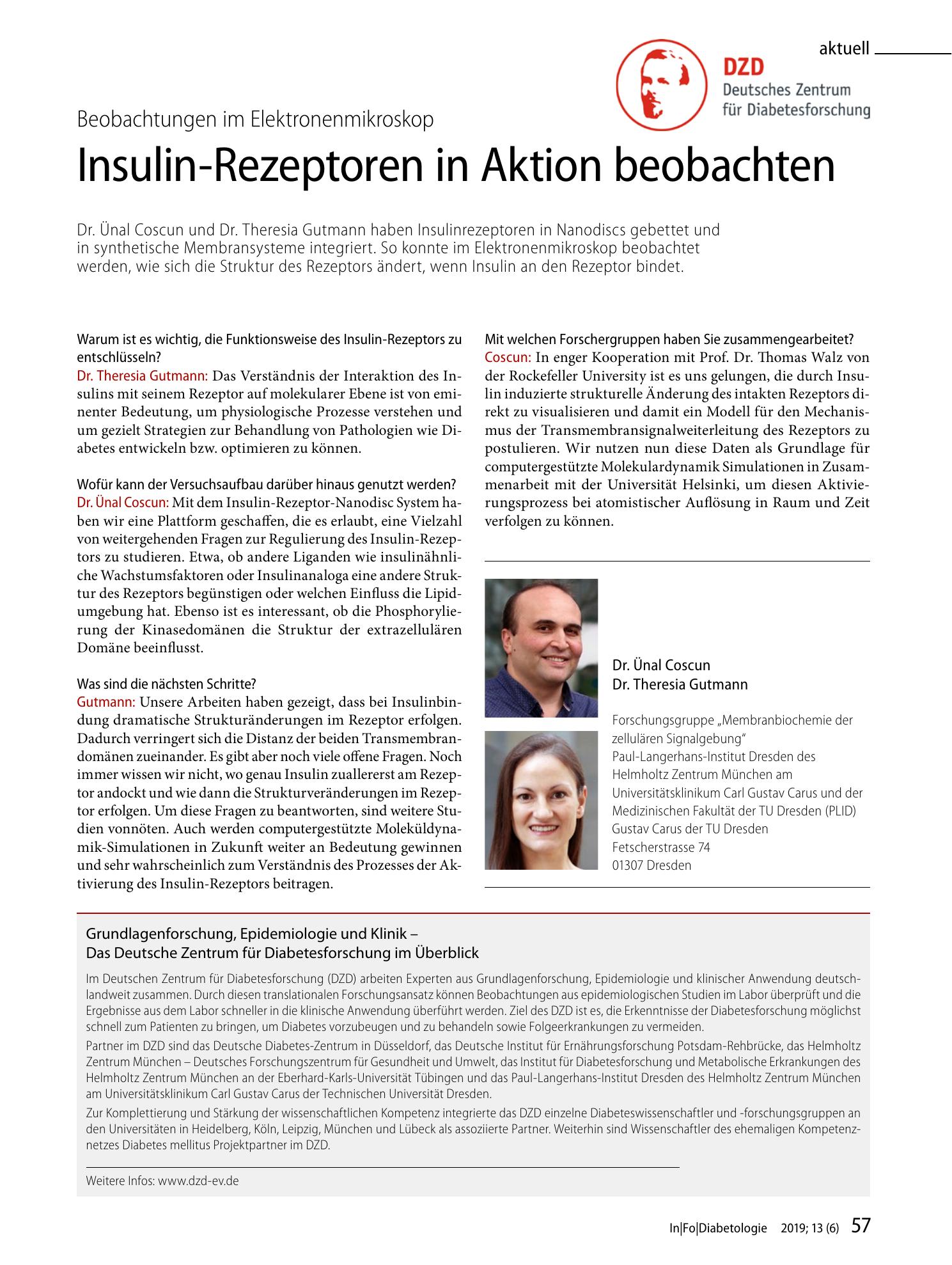 Vorschauseite 1: Insulin-Rezeptoren in Aktion beobachten