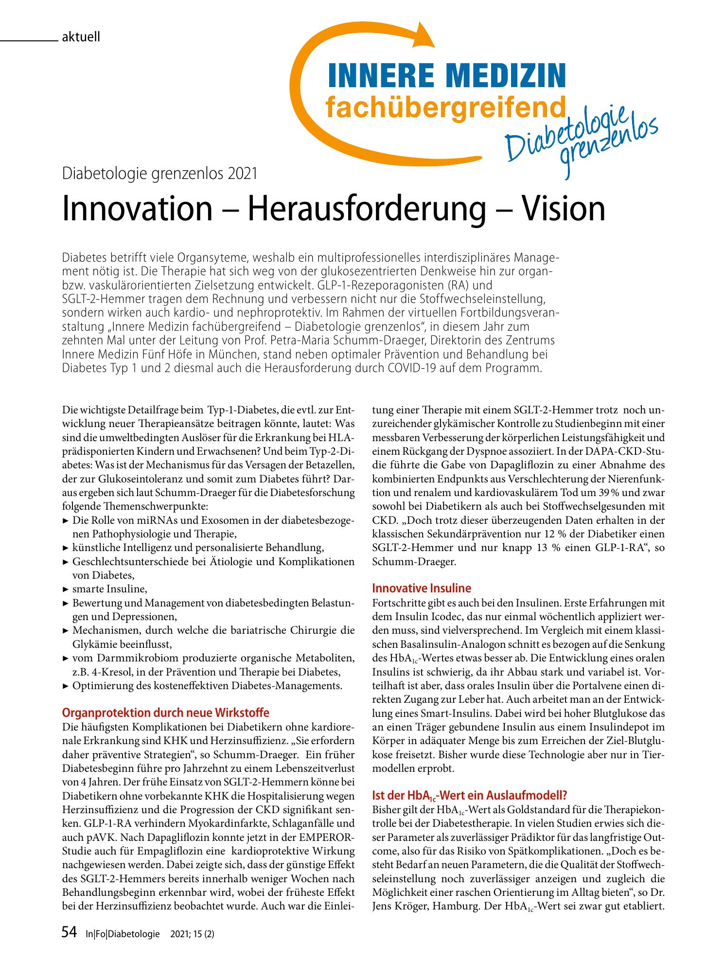 Vorschauseite 1: Innovation - Herausforderung - Vision