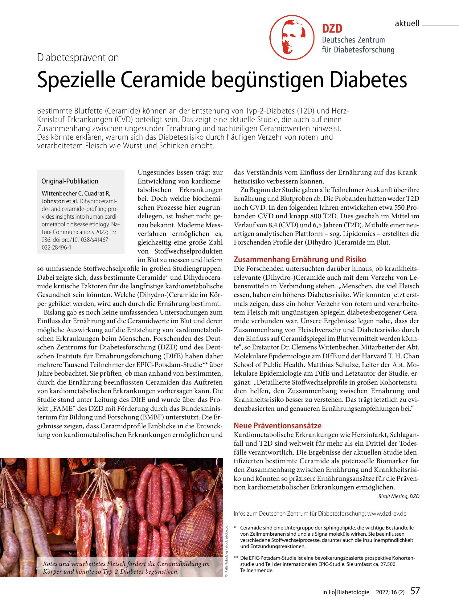 Vorschauseite 1: Spezielle Ceramide begünstigen Diabetes