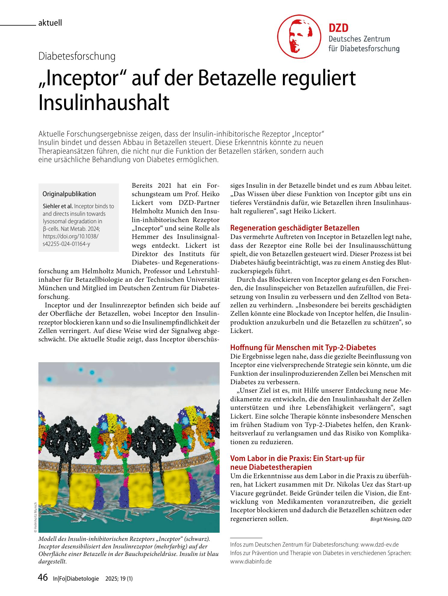 Vorschauseite 1: „Inceptor“ auf der Betazelle reguliert Insulinhaushalt