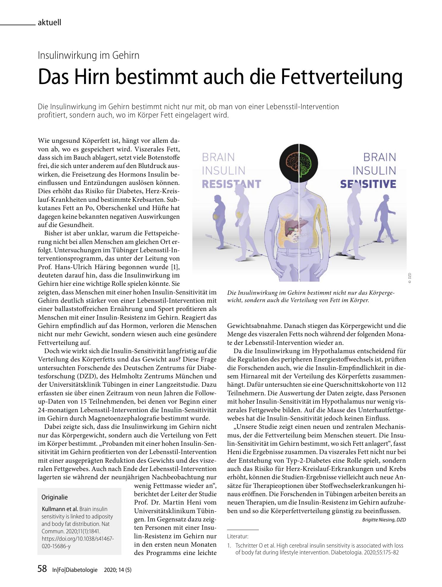 Vorschauseite 1: Das Hirn bestimmt auch die Fettverteilung