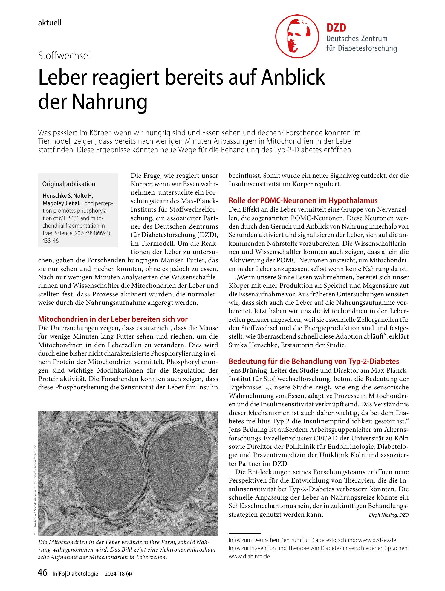 Vorschauseite 1: Leber reagiert bereits auf Anblick der Nahrung