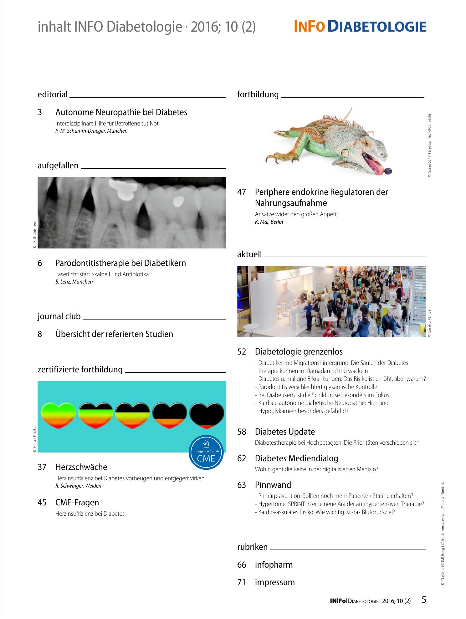 Vorschauseite 1: Inhaltsverzeichnis