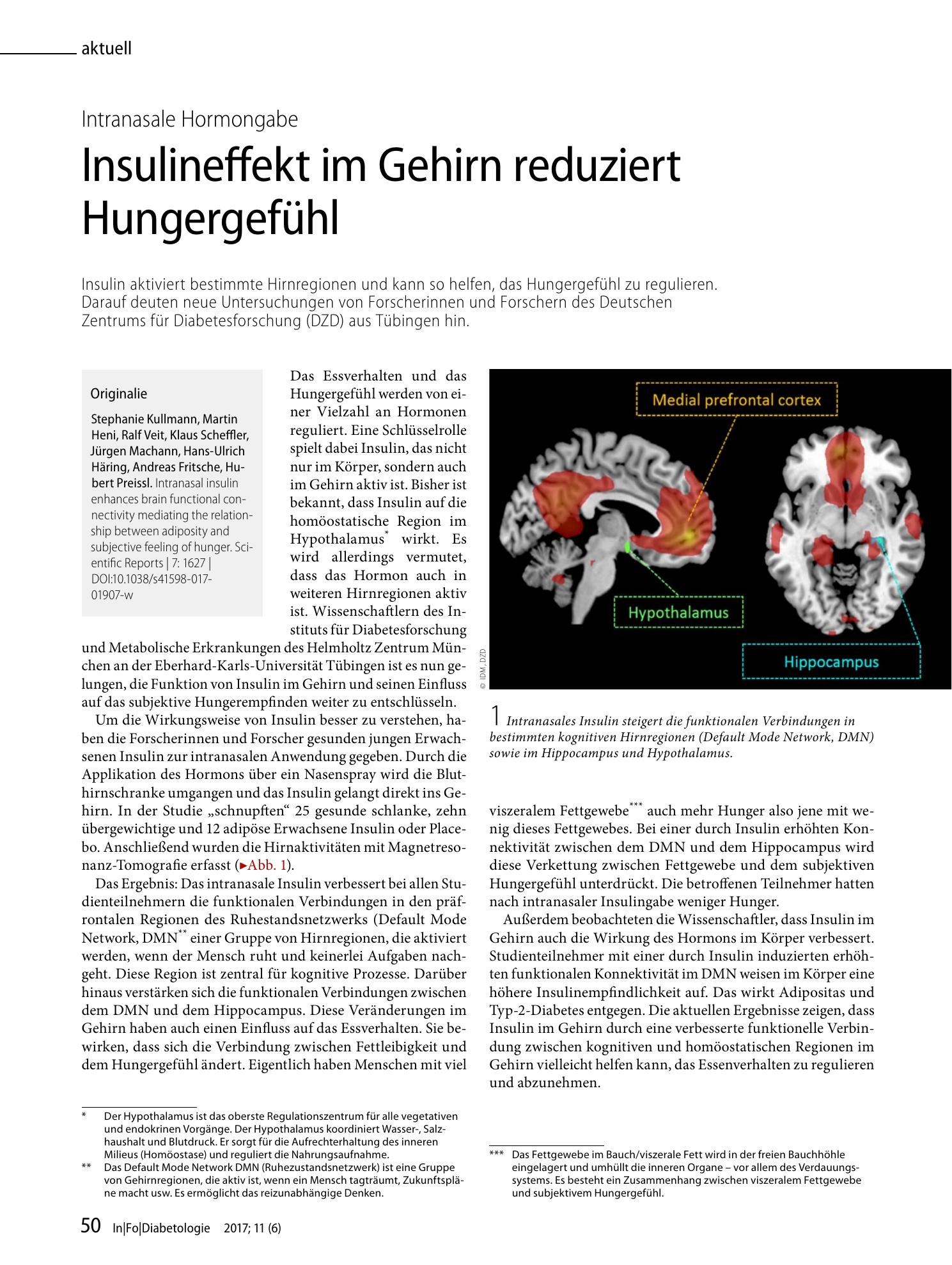 Vorschauseite 1: Insulineffekt im Gehirn reduziert Hungergefühl