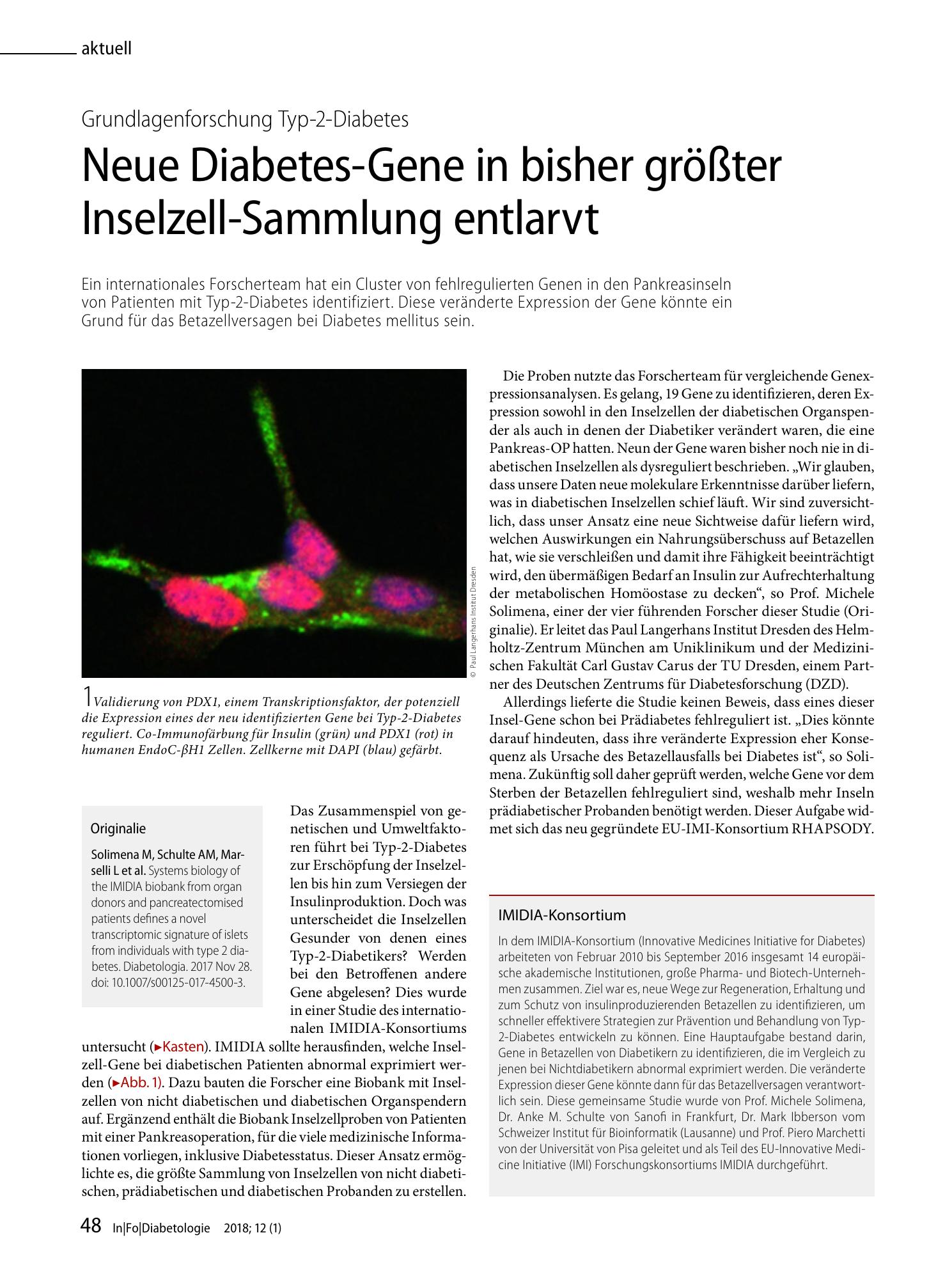 Vorschauseite 1: Neue Diabetes-Gene in bisher größter Inselzell-Sammlung entlarvt