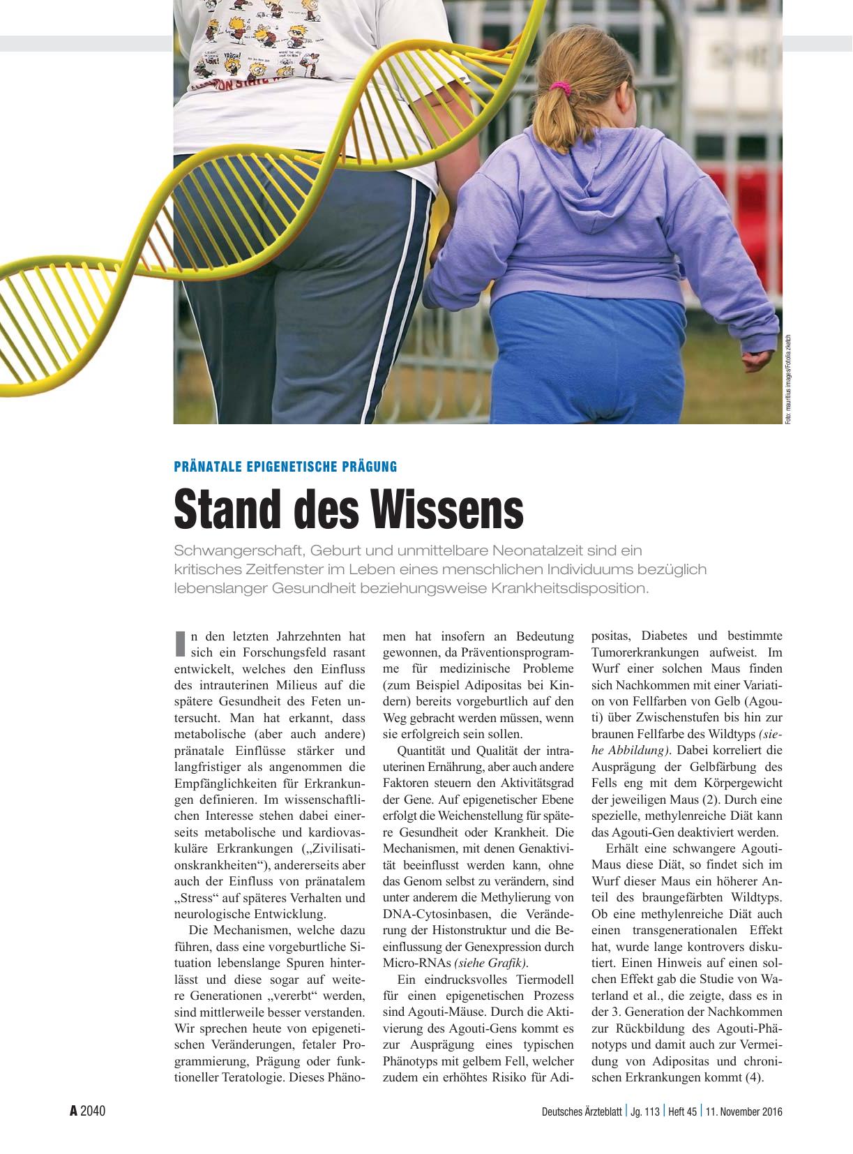 Vorschauseite 1: Pränatale epigenetische Prägung: Stand des Wissens
