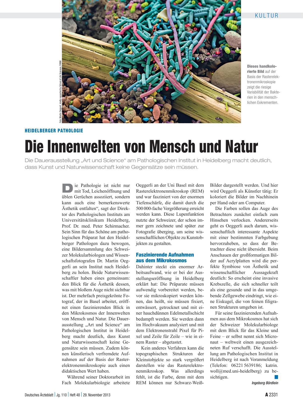 Vorschauseite 1: Heidelberger Pathologie: Die Innenwelten von Mensch und Natur