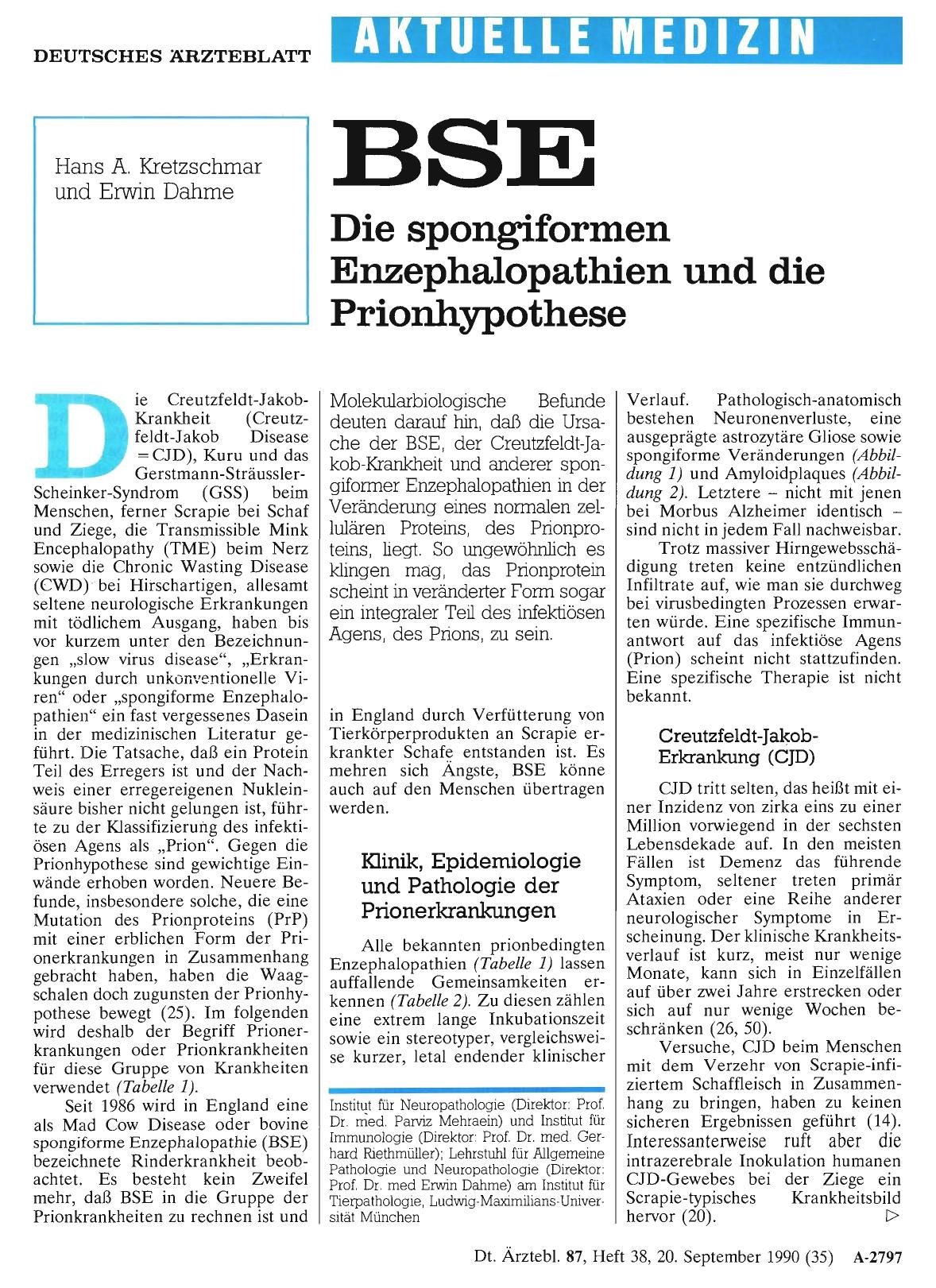 Vorschauseite 1: BSE: Die spongiformen Enzephalopathien und die Prionhypothese