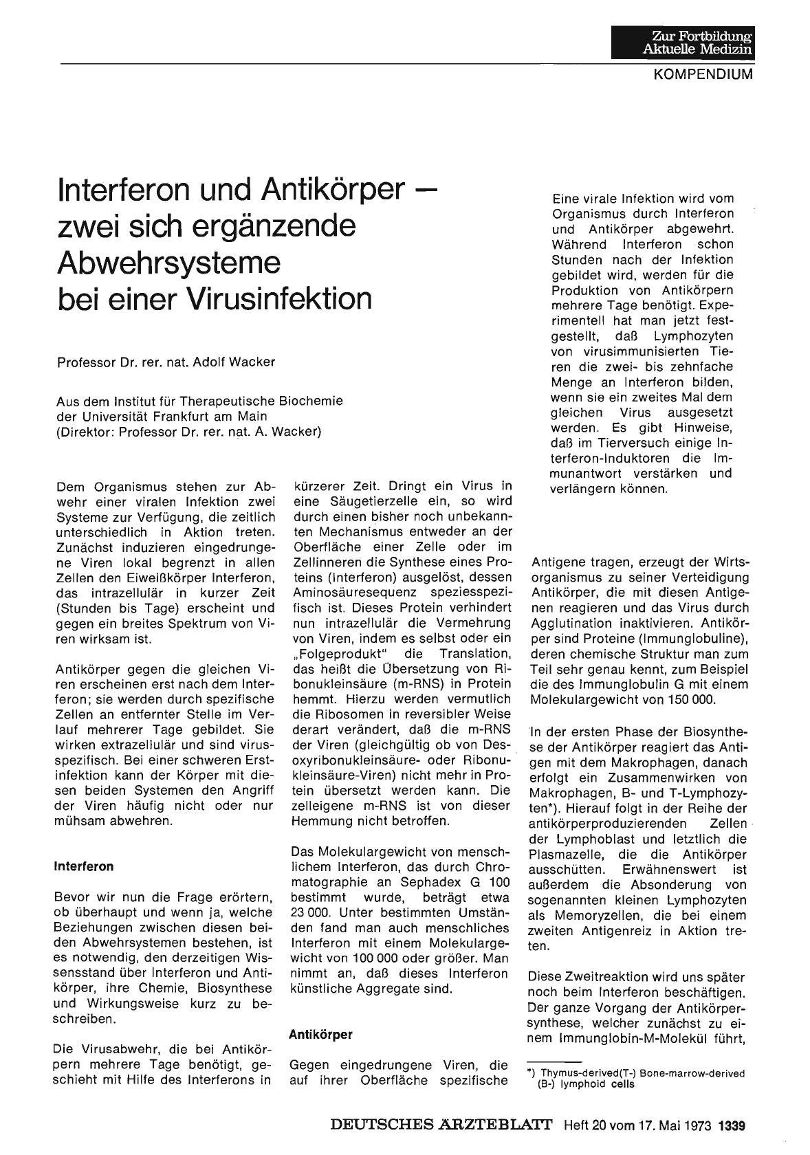 Vorschauseite 1: Interferon und Antikörper — zwei sich ergänzende Abwehrsysteme bei einer Virusinfektion