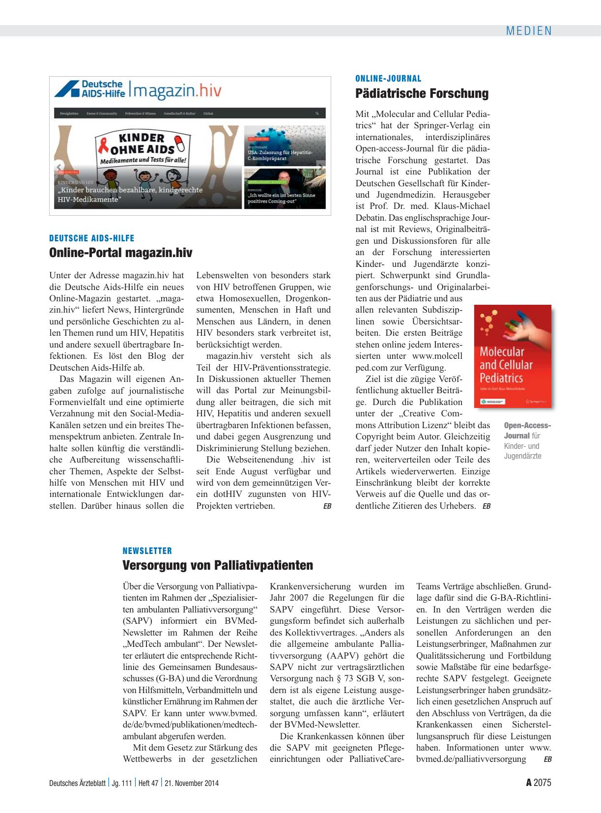 Vorschauseite 1: Newsletter: Versorgung von Palliativpatienten