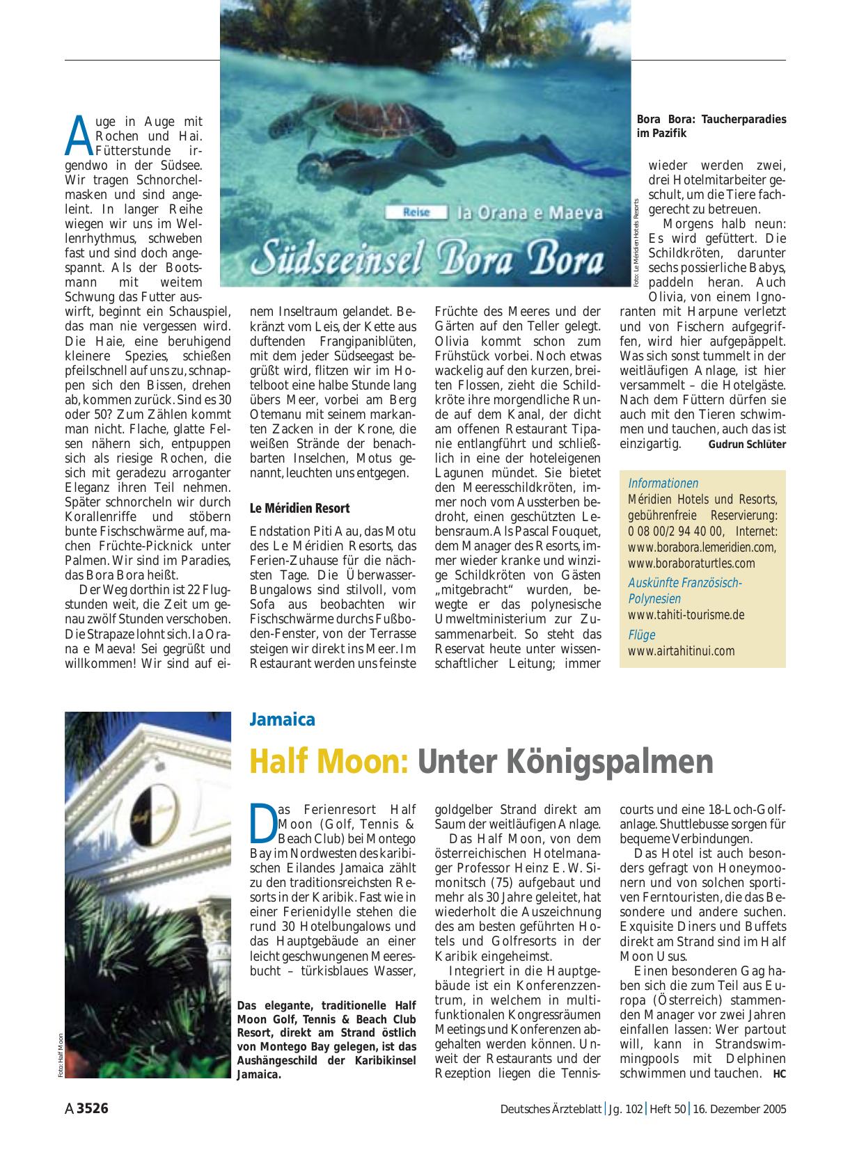 Vorschauseite 1: Jamaica – Half Moon: Unter Königspalmen