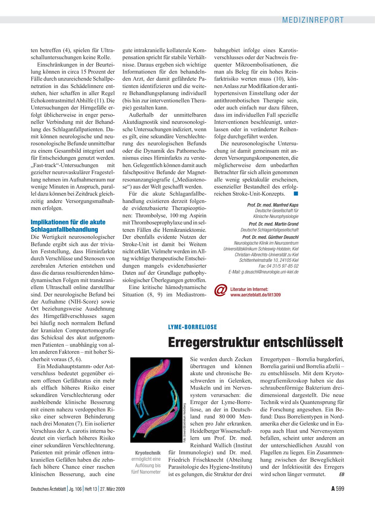 Vorschauseite 1: Lyme-Borreliose: Erregerstruktur entschlüsselt