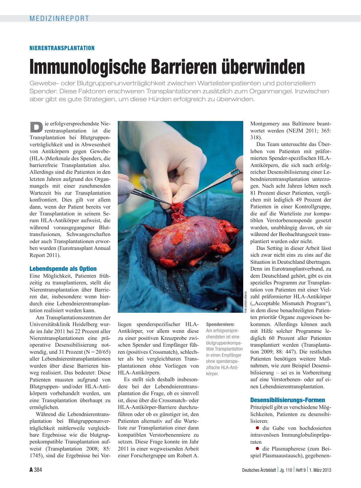 Vorschauseite 1: Nierentransplantation: Immunologische Barrieren überwinden