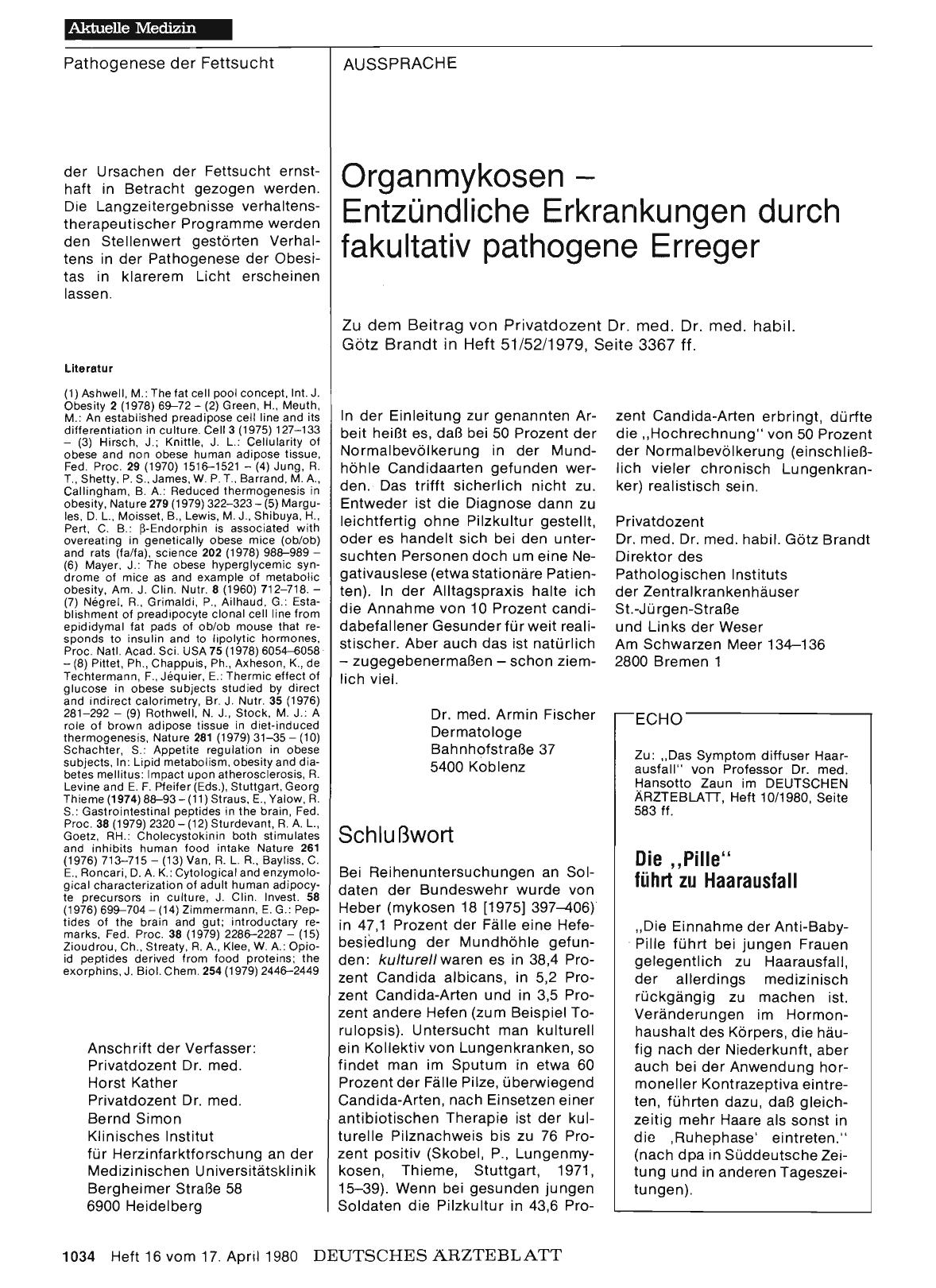 Vorschauseite 1: Schlußwort