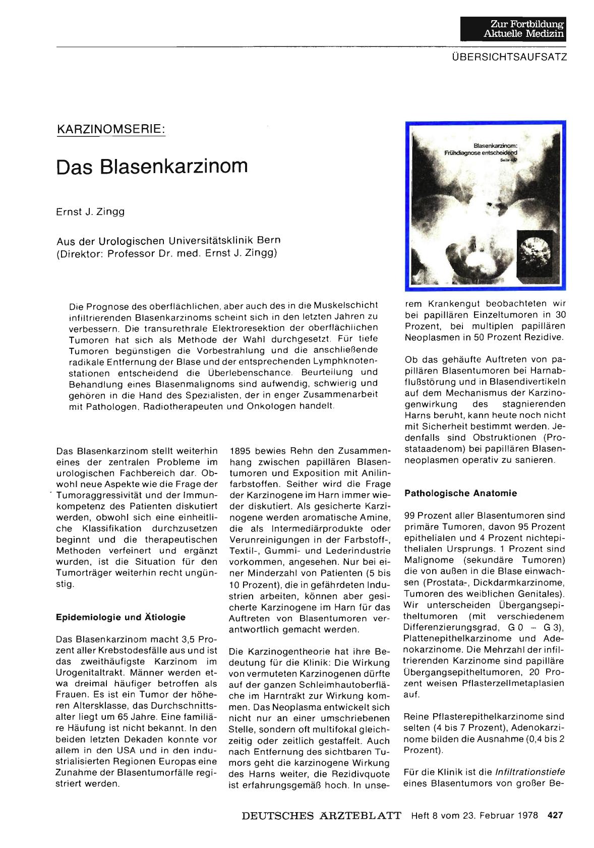 Vorschauseite 1: Karzinomserie: Das Blasenkarzinom