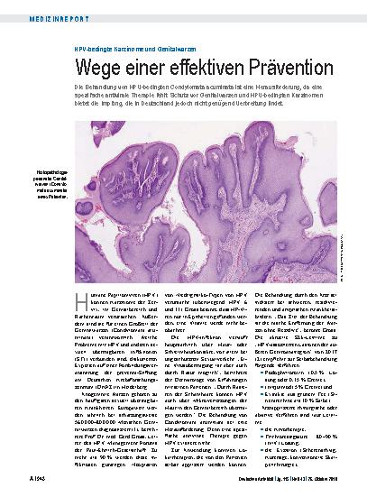 Vorschauseite 1: HPV-bedingte Karzinome und Genitalwarzen: Wege einer effektiven Prävention